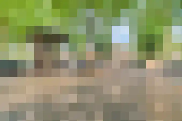 Bisschop de Vetplein 12 Gilze thumbnail 47