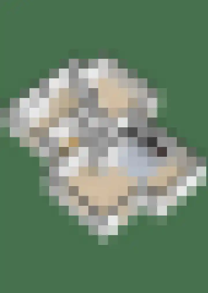 Bisschop de Vetplein 12 Gilze thumbnail 49