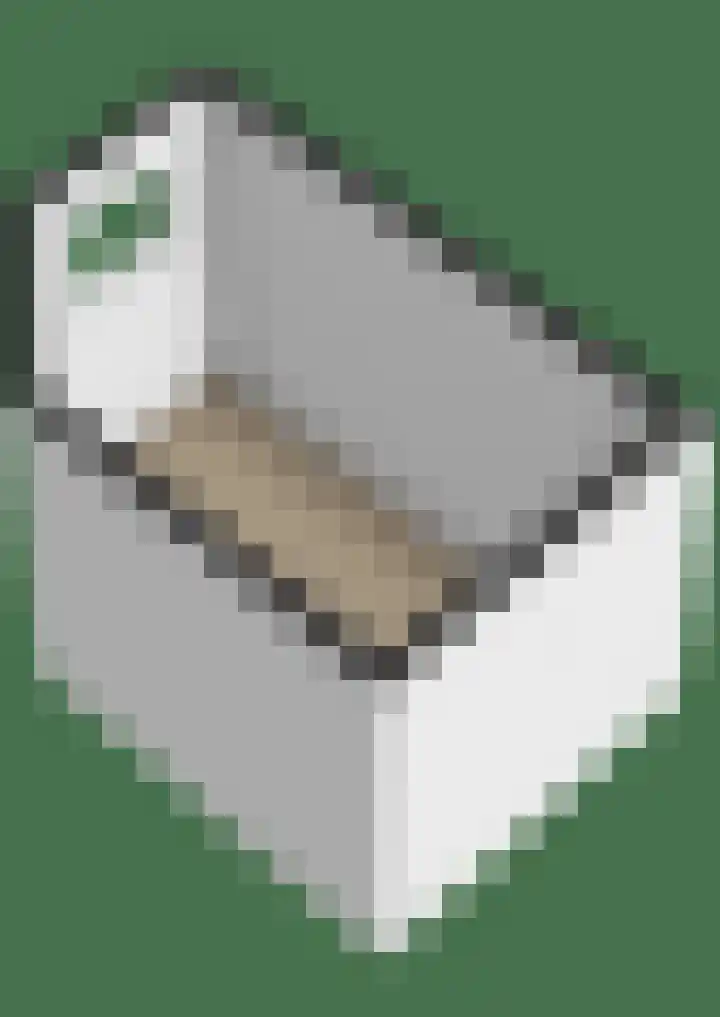 Bisschop de Vetplein 12 Gilze thumbnail 55