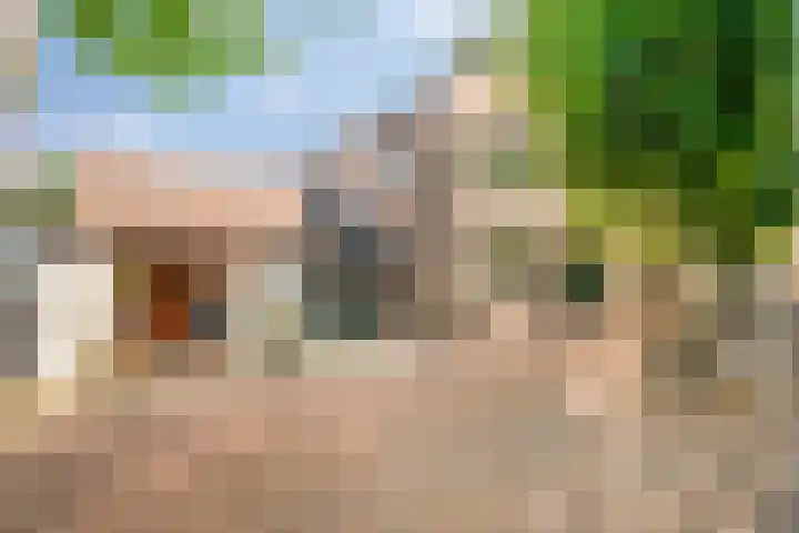 Bisschop de Vetplein 12 Gilze thumbnail 60