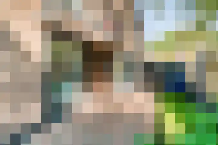 Bisschop de Vetplein 12 Gilze thumbnail 7