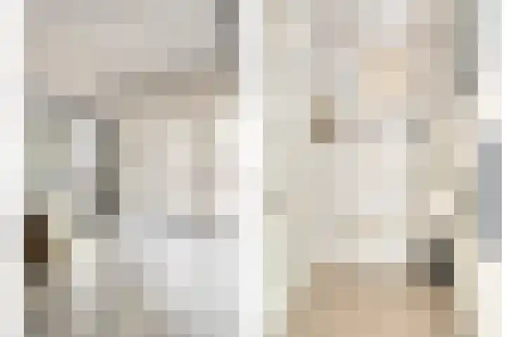 Bisschop de Vetplein 12 Gilze thumbnail 9