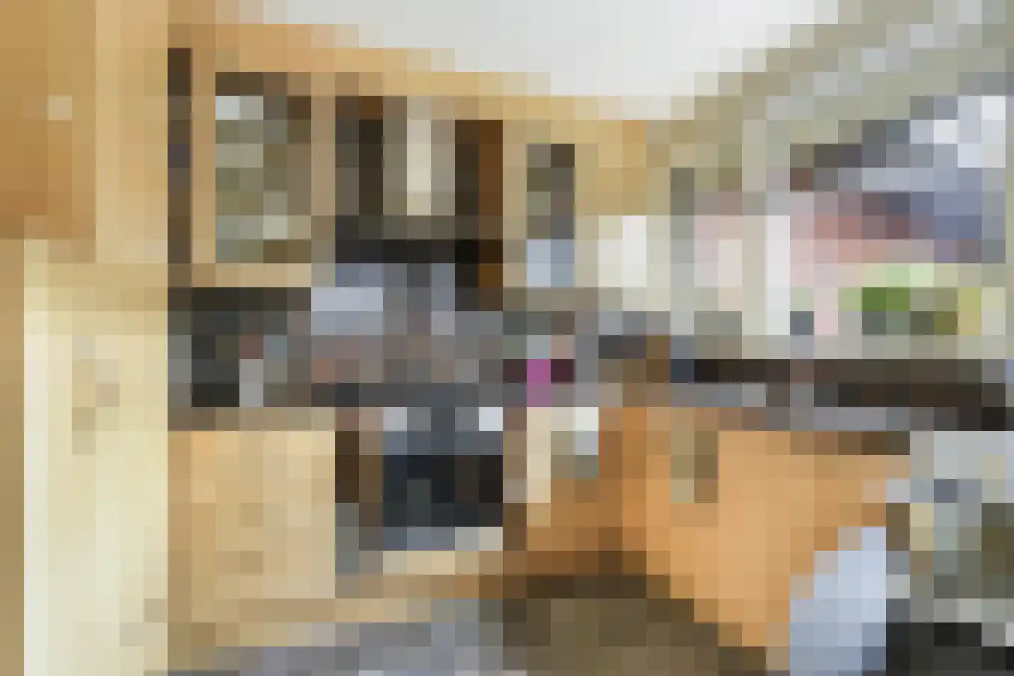 Bisschop Drehmansstraat 17 Roermond thumbnail 13