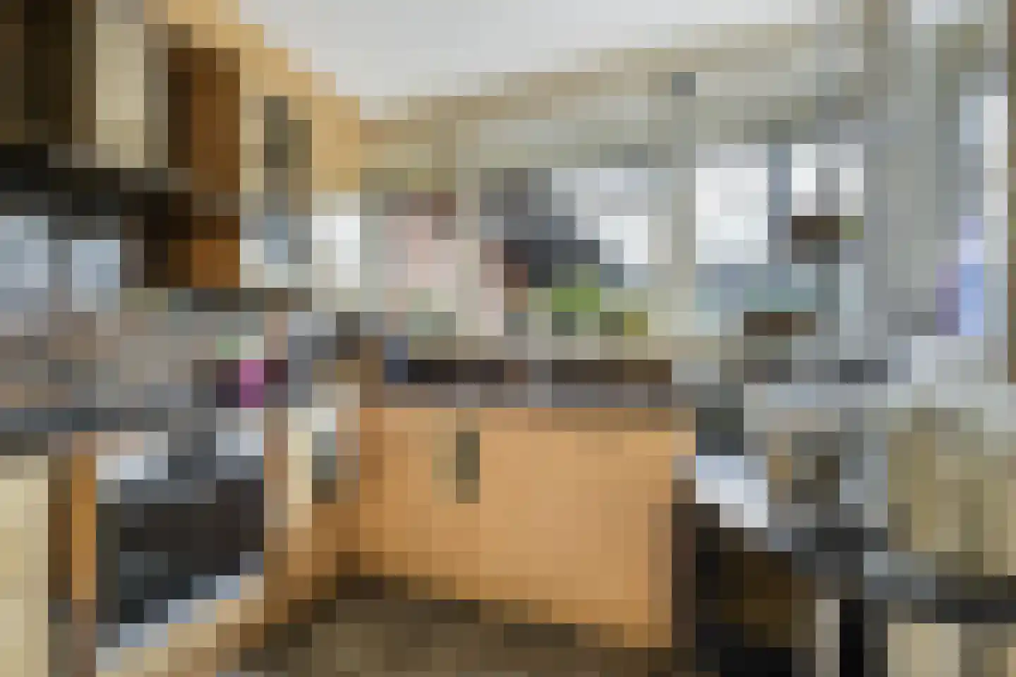 Bisschop Drehmansstraat 17 Roermond thumbnail 14