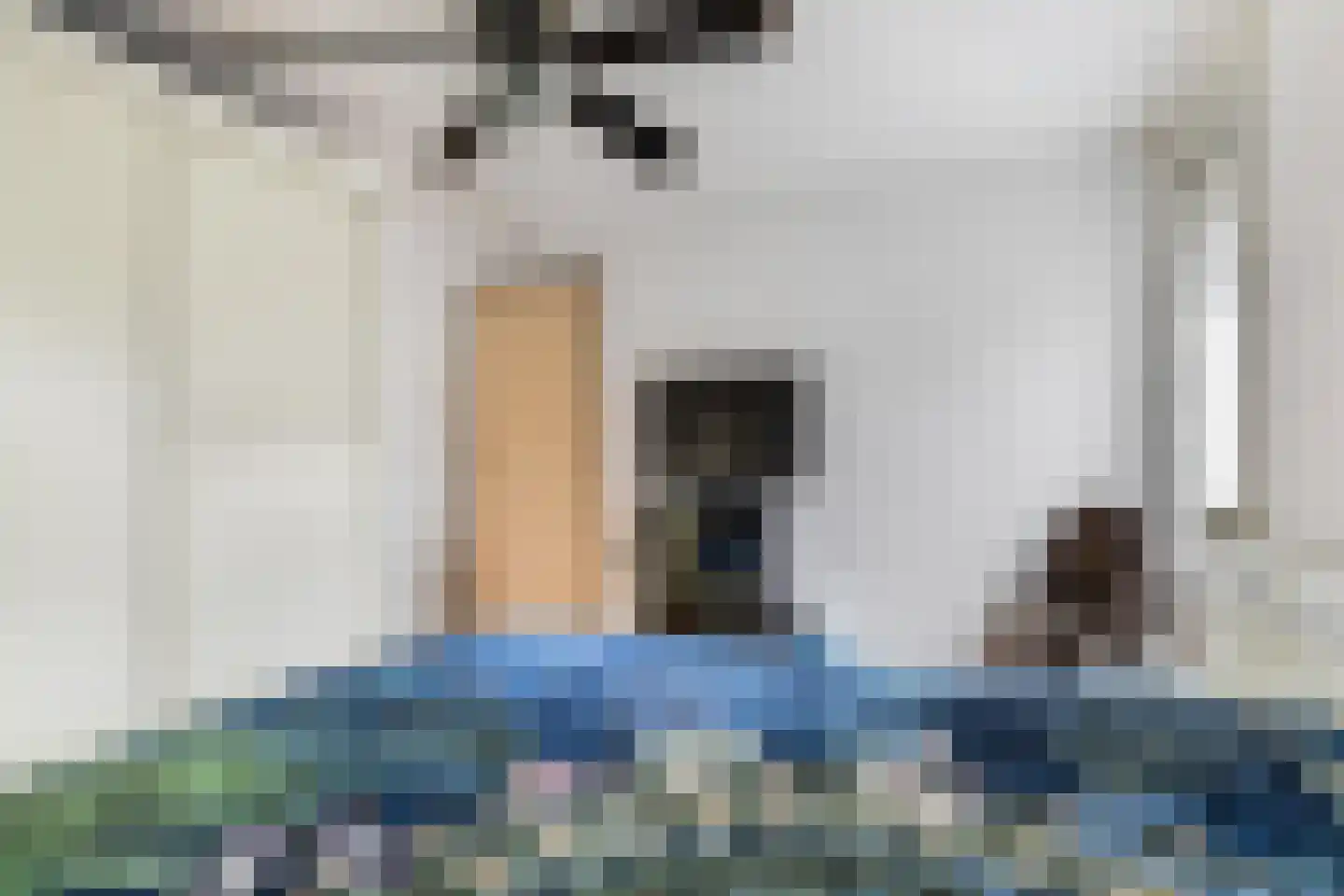 Bisschop Drehmansstraat 17 Roermond thumbnail 17