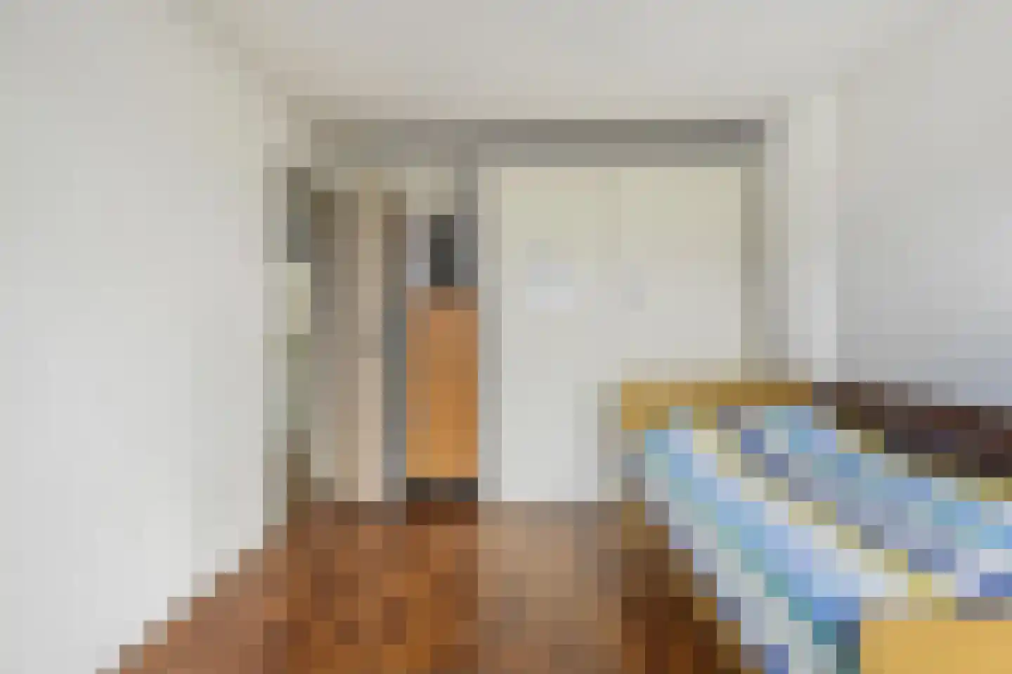 Bisschop Drehmansstraat 17 Roermond thumbnail 21