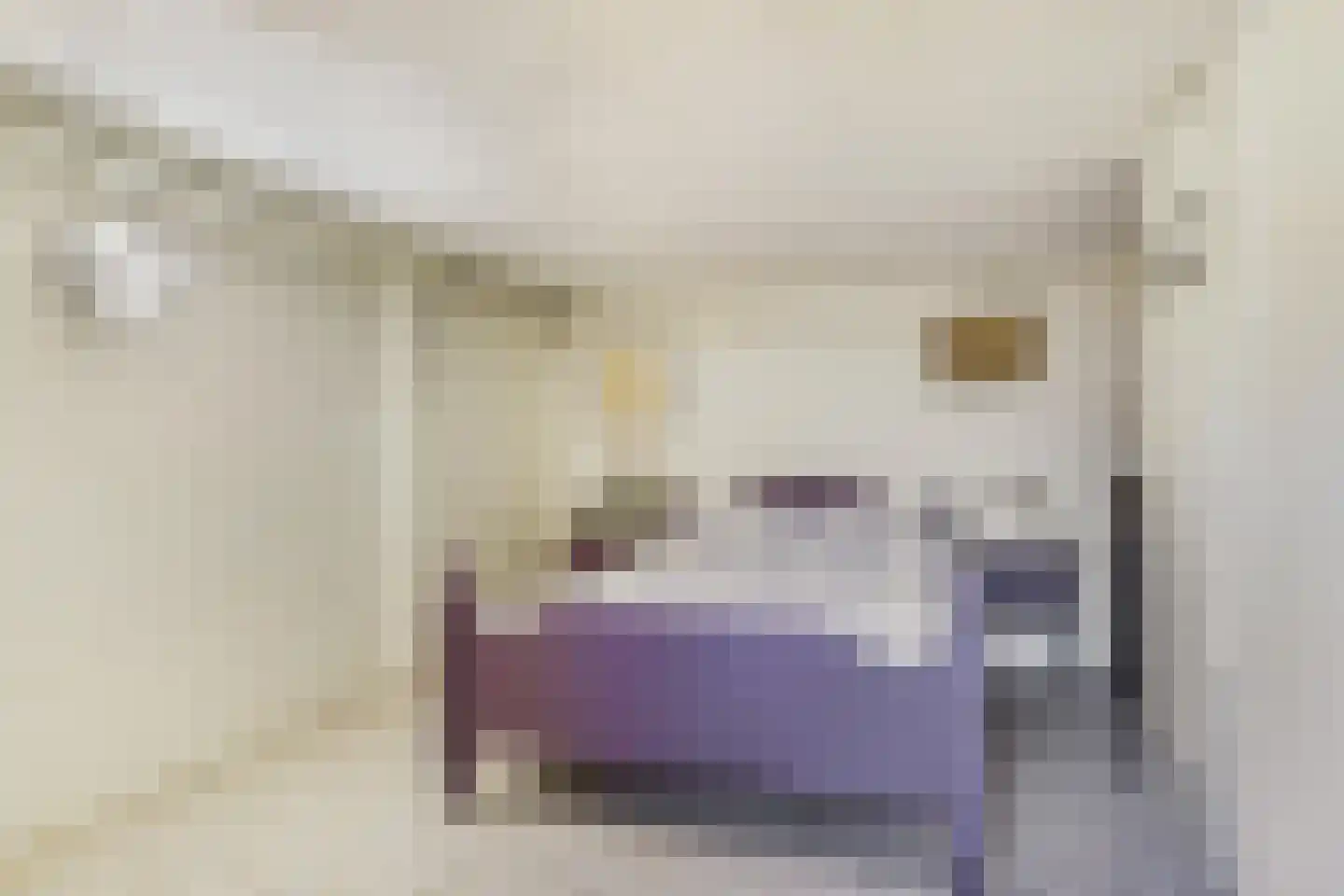 Bisschop Drehmansstraat 17 Roermond thumbnail 25