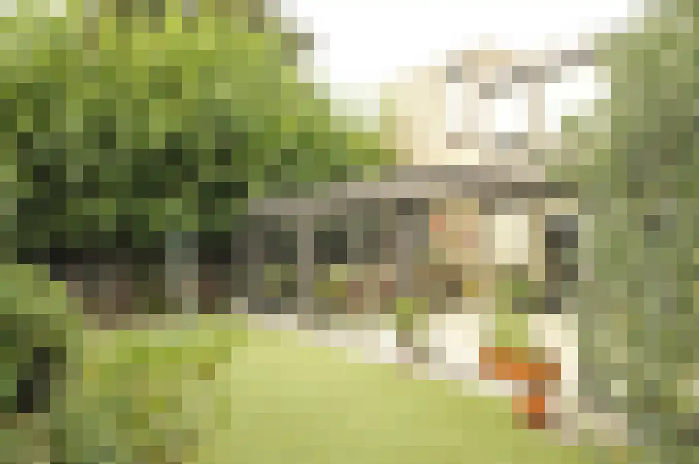 Bisschop Drehmansstraat 17 Roermond thumbnail 44