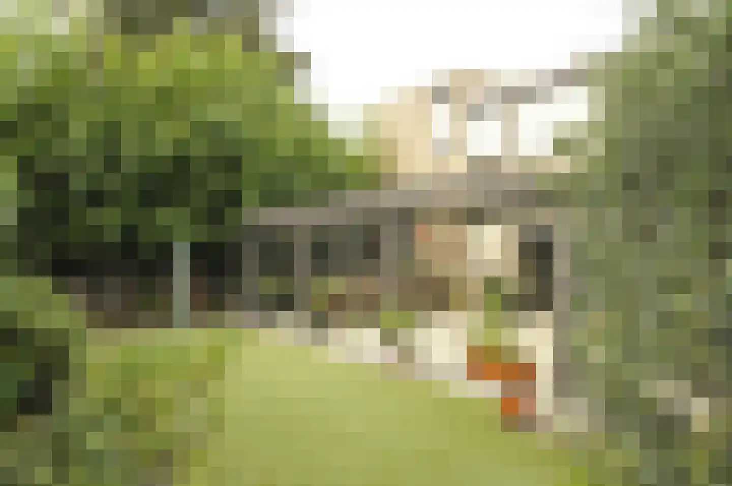 Bisschop Drehmansstraat 17 Roermond thumbnail 45