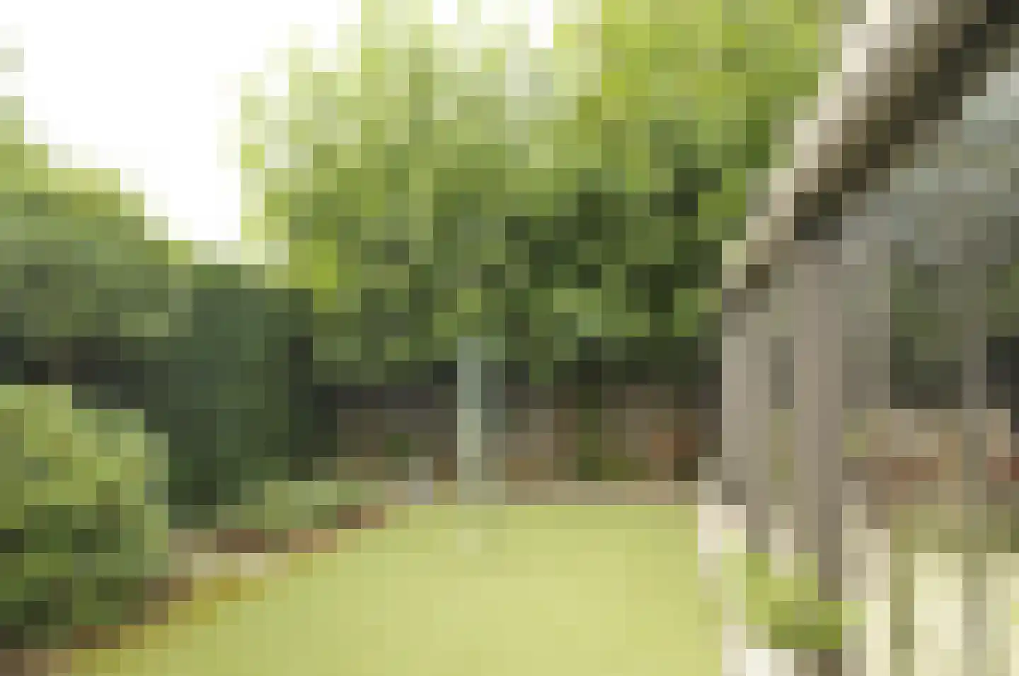 Bisschop Drehmansstraat 17 Roermond thumbnail 46