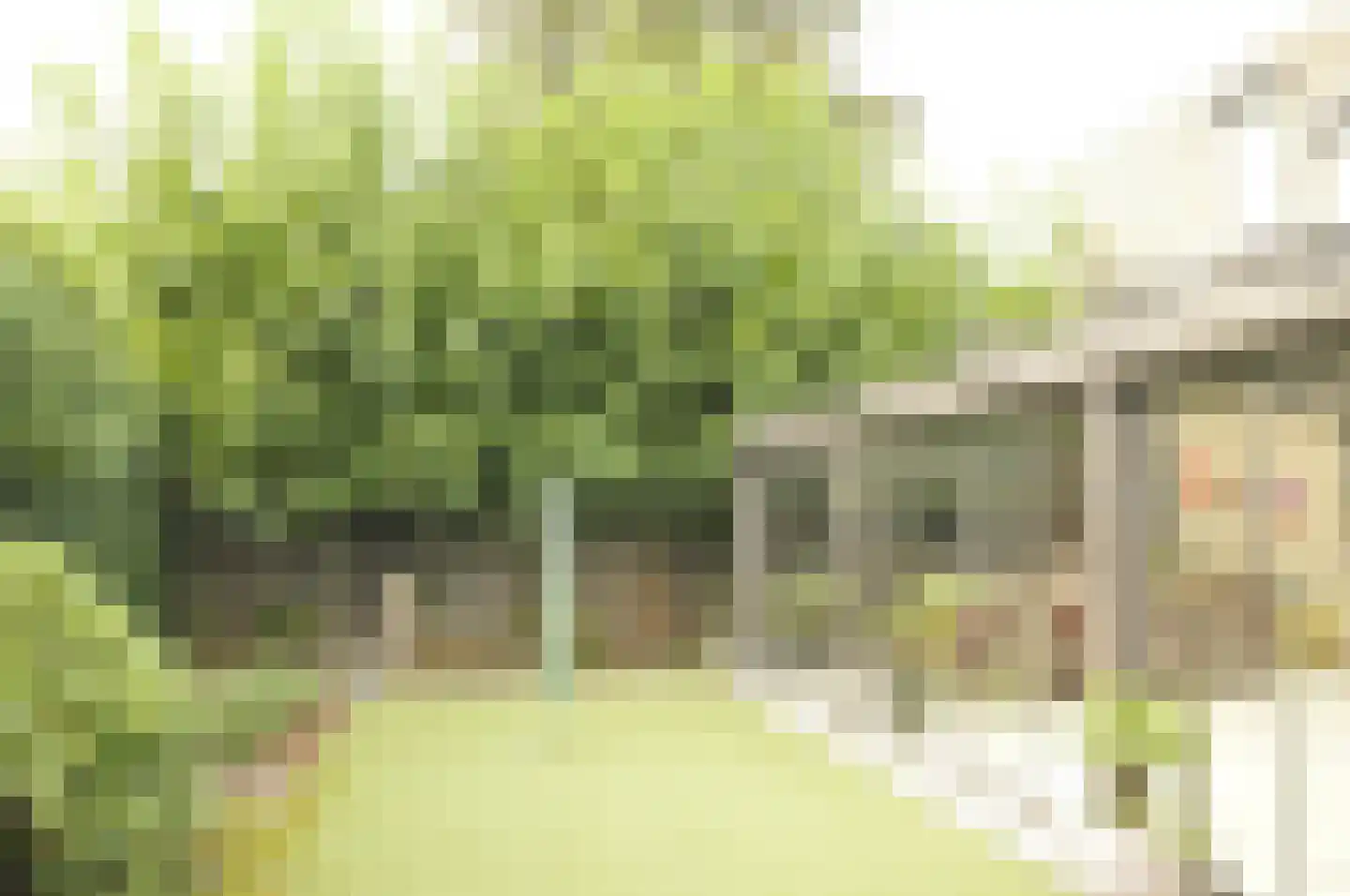 Bisschop Drehmansstraat 17 Roermond thumbnail 47