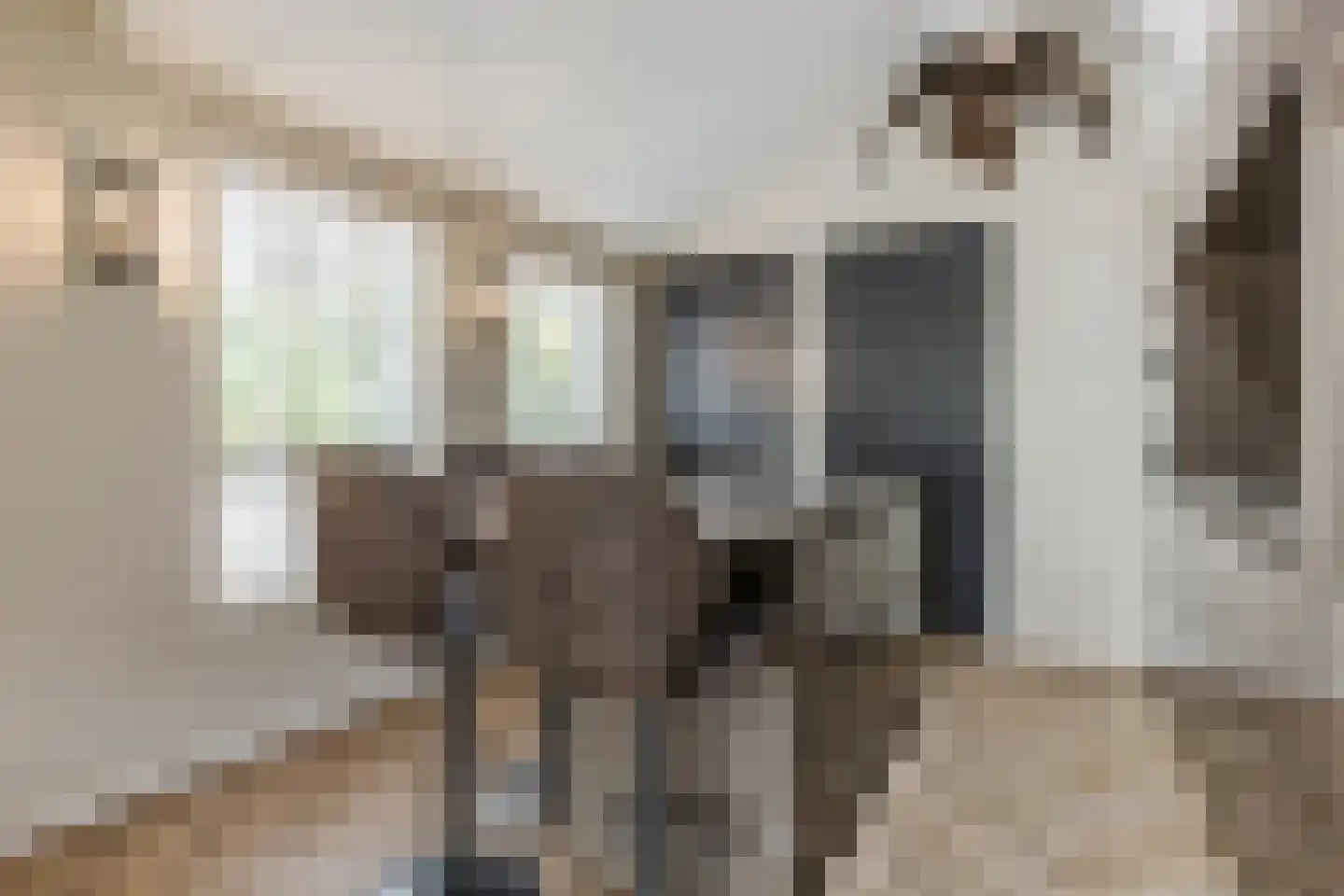 Bisschop Hopmansstraat 21 Noordhoek thumbnail 16