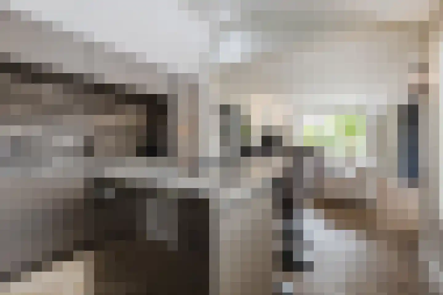 Bisschop Hopmansstraat 21 Noordhoek thumbnail 18