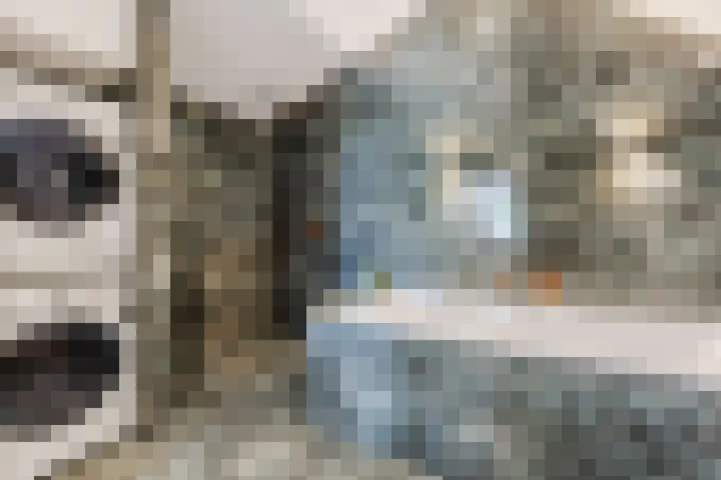 Bisschop Hopmansstraat 21 Noordhoek thumbnail 21