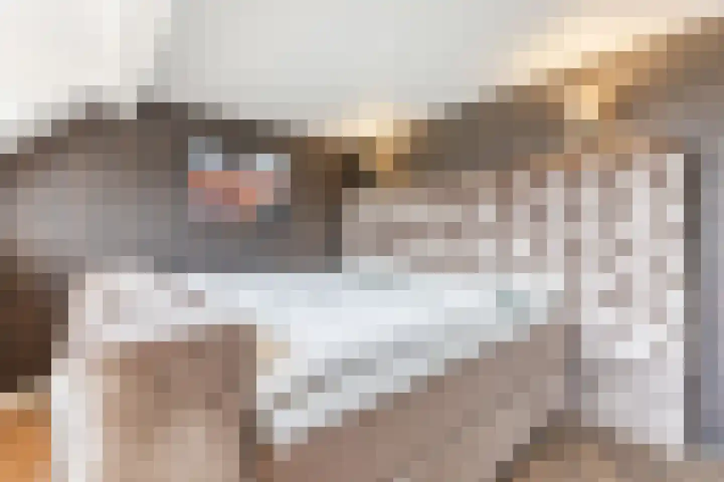 Bisschop Hopmansstraat 21 Noordhoek thumbnail 25