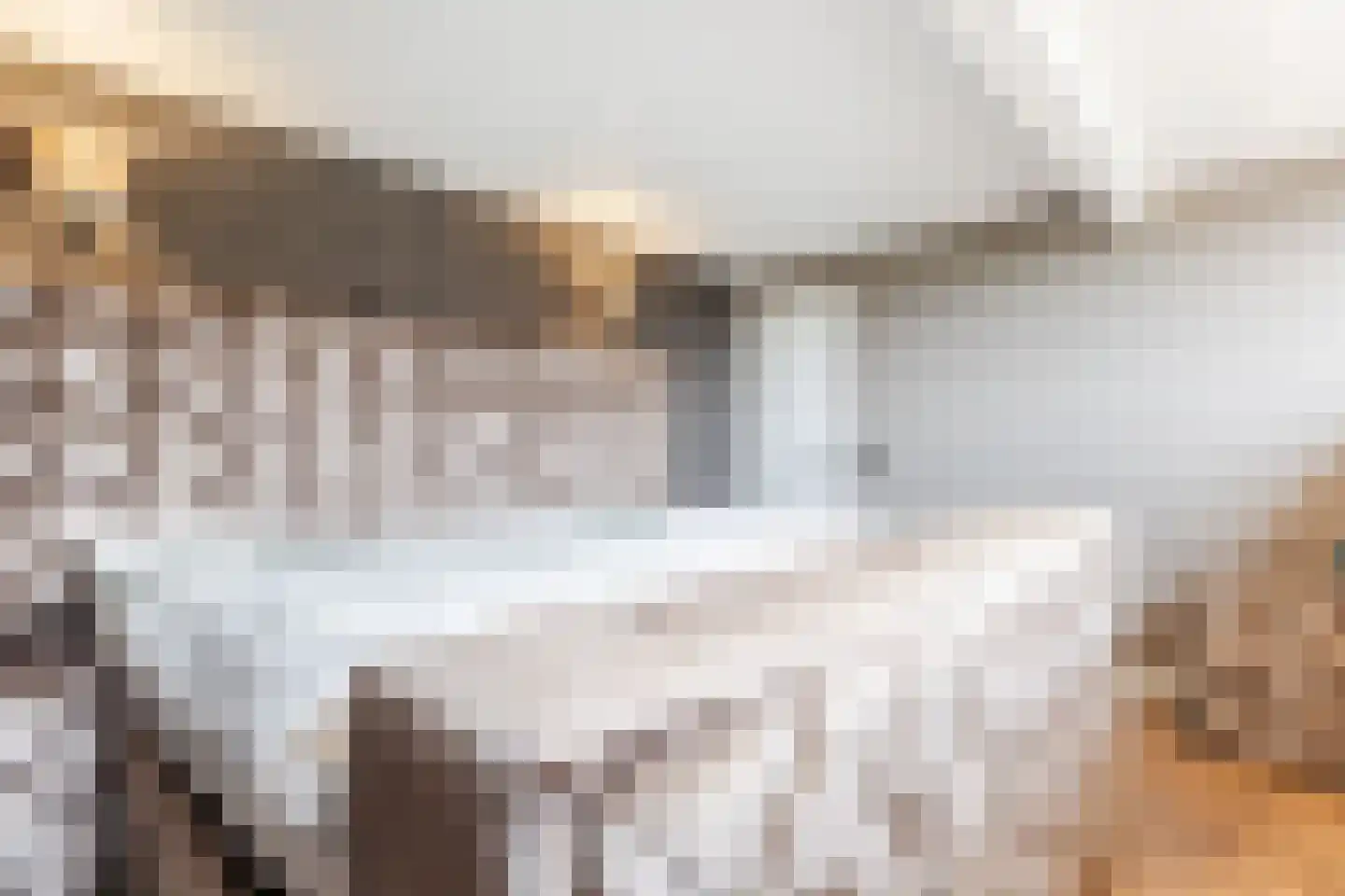 Bisschop Hopmansstraat 21 Noordhoek thumbnail 26