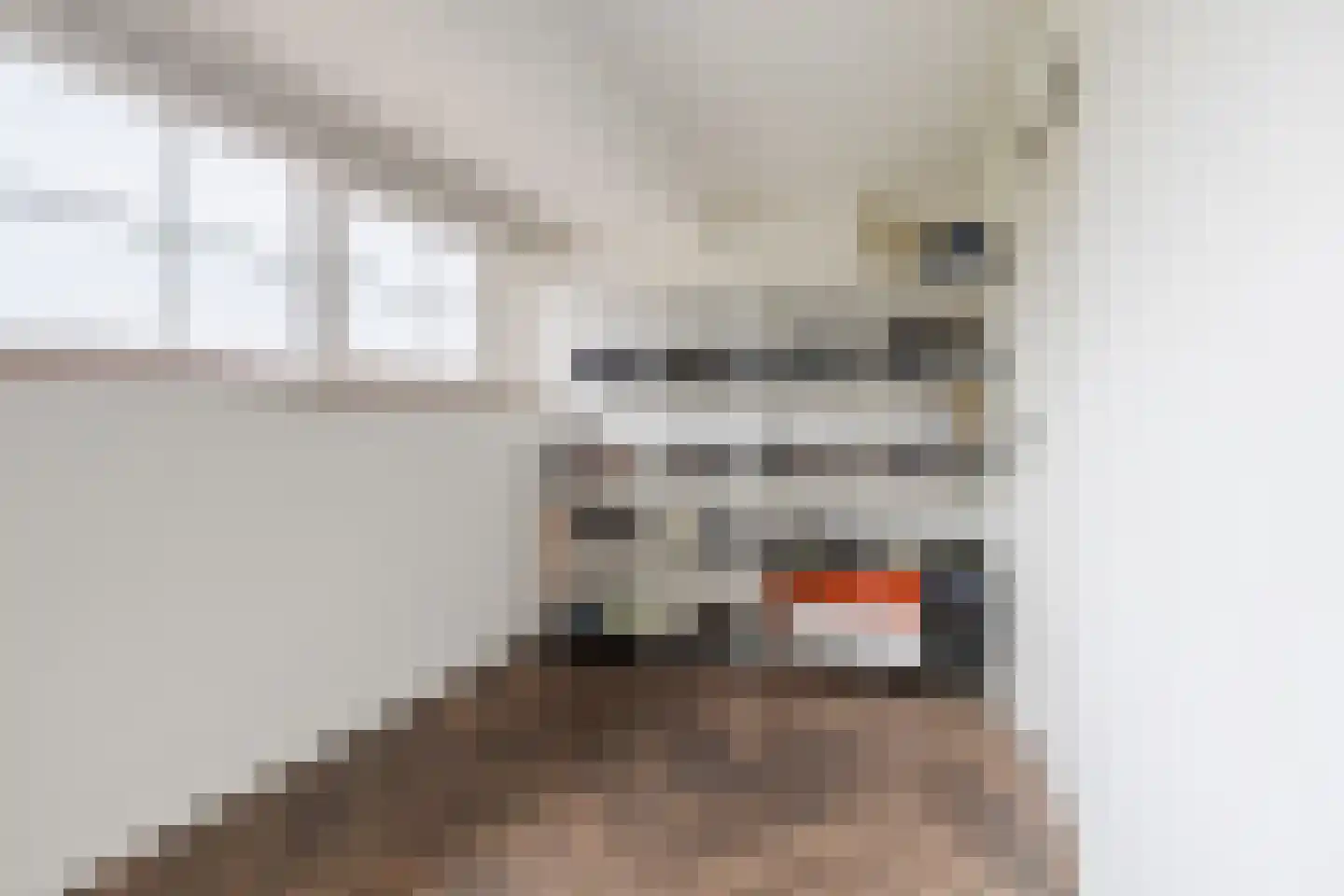 Bisschop Hopmansstraat 21 Noordhoek thumbnail 31