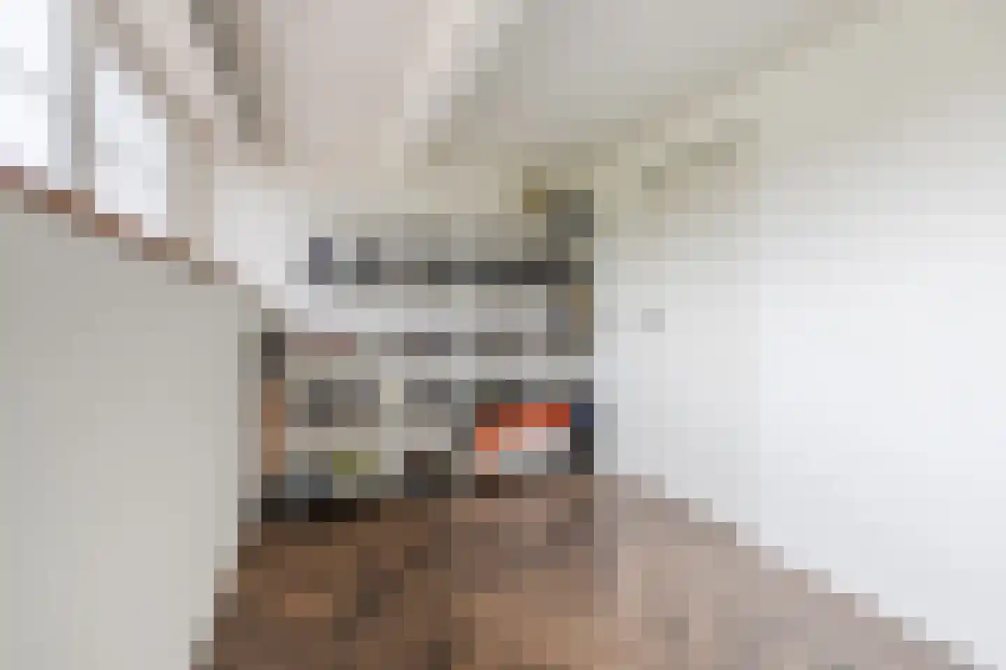 Bisschop Hopmansstraat 21 Noordhoek thumbnail 32