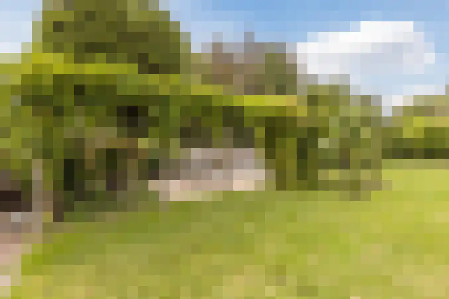 Bisschop Hopmansstraat 21 Noordhoek thumbnail 43