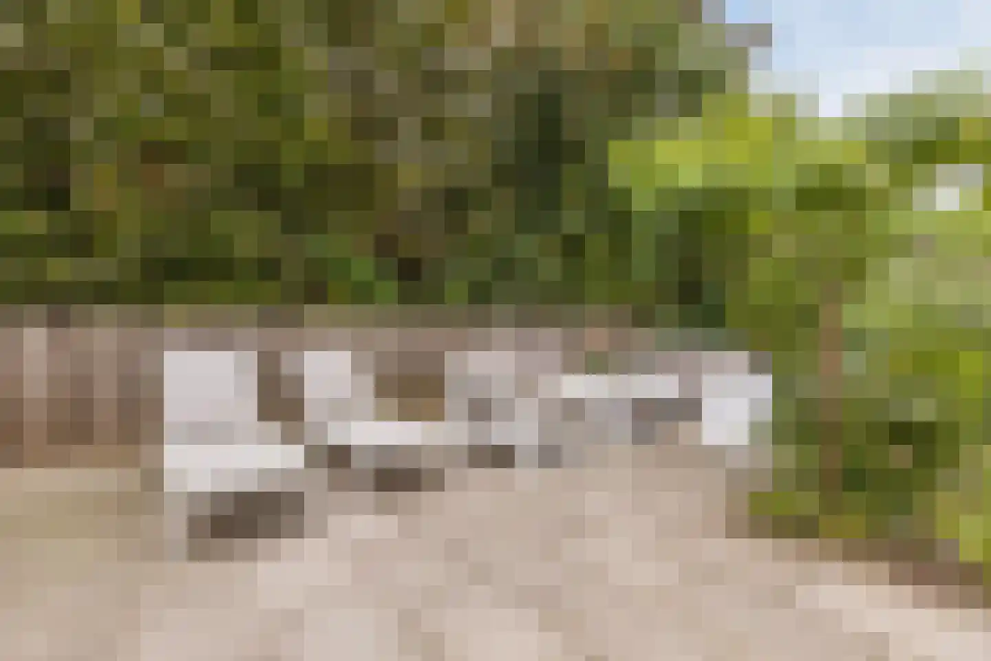 Bisschop Hopmansstraat 21 Noordhoek thumbnail 45