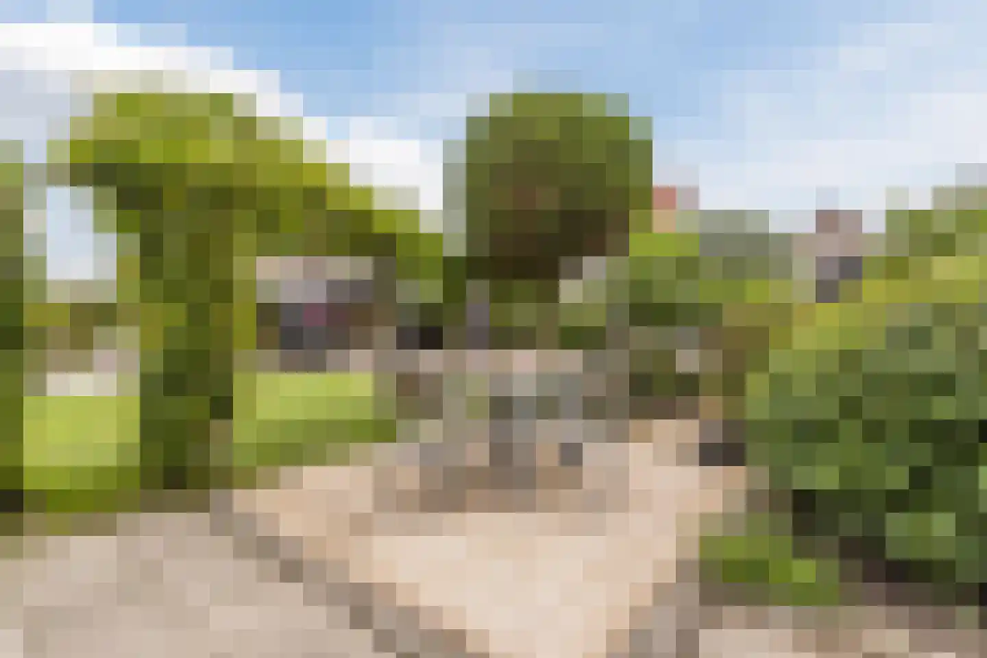 Bisschop Hopmansstraat 21 Noordhoek thumbnail 48
