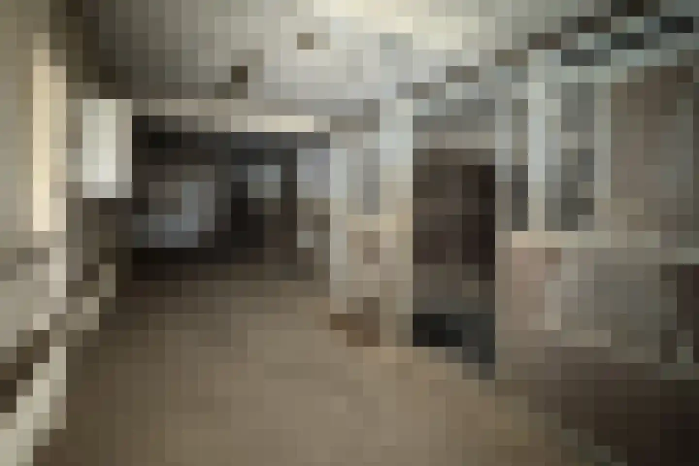 Bisschop Hopmansstraat 36 Noordhoek thumbnail 63