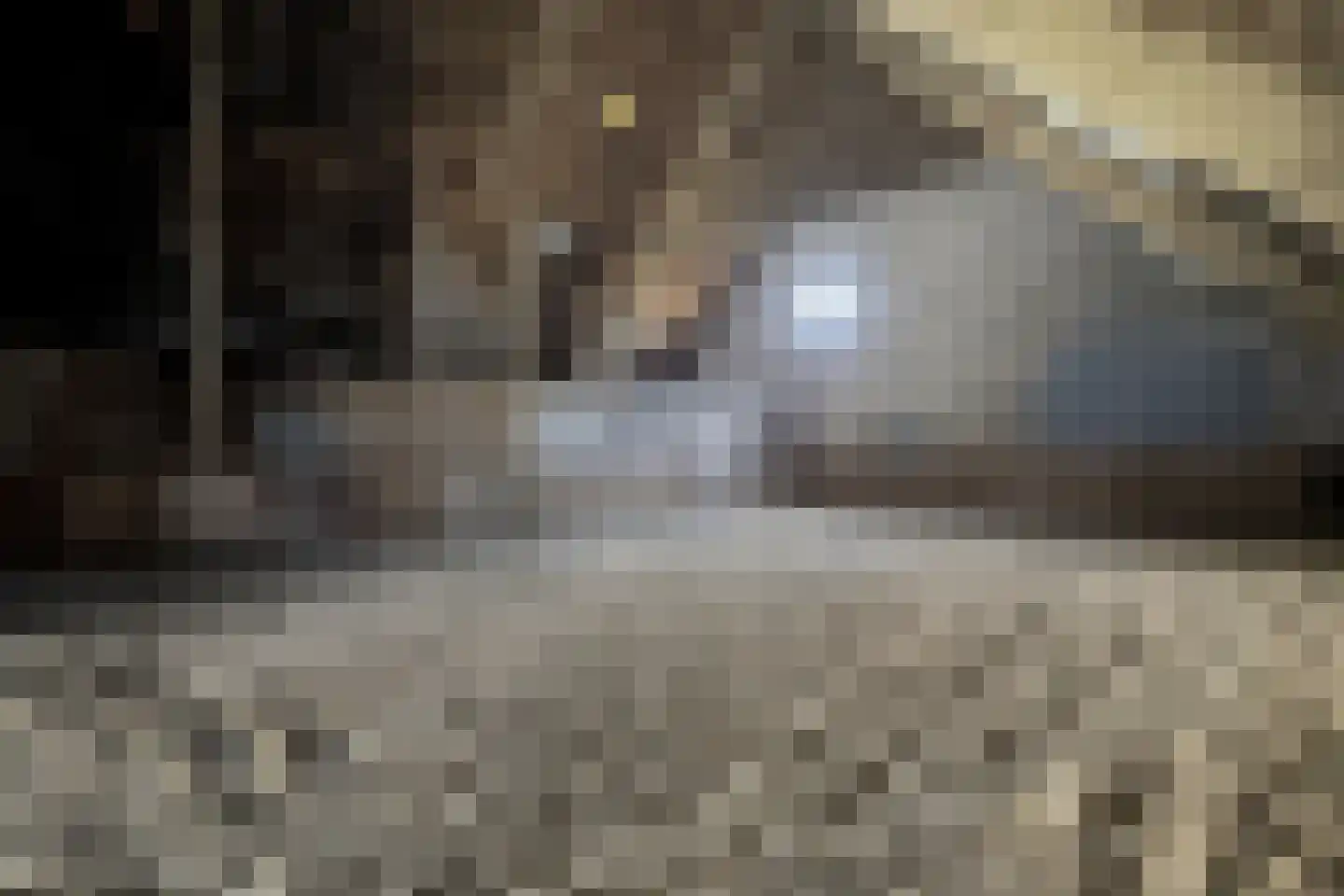 Bisschop Hopmansstraat 36 Noordhoek thumbnail 64