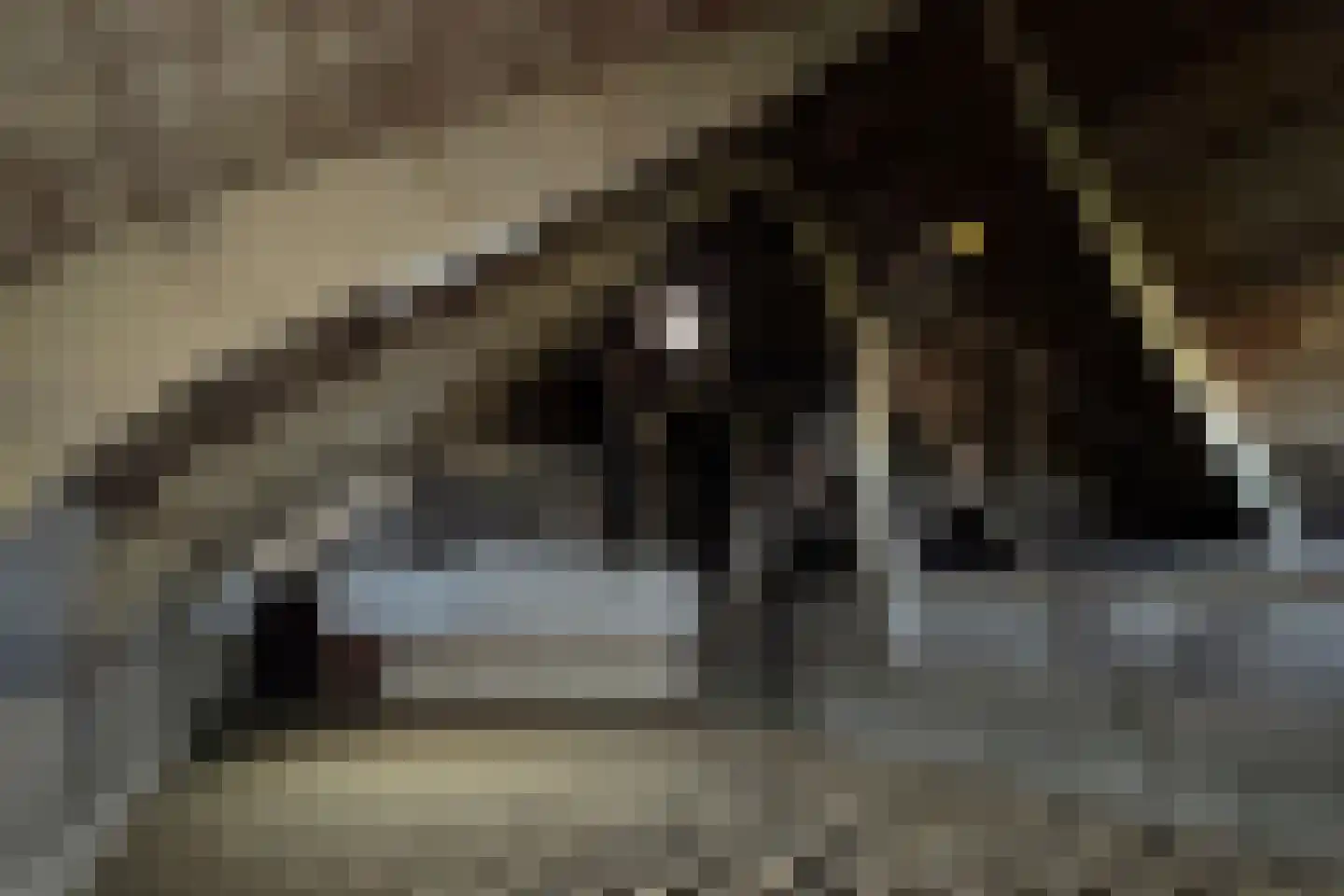 Bisschop Hopmansstraat 36 Noordhoek thumbnail 7
