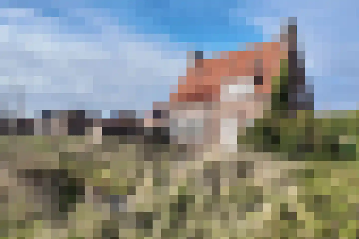 Bisschop Hopmansstraat 36 Noordhoek thumbnail 76