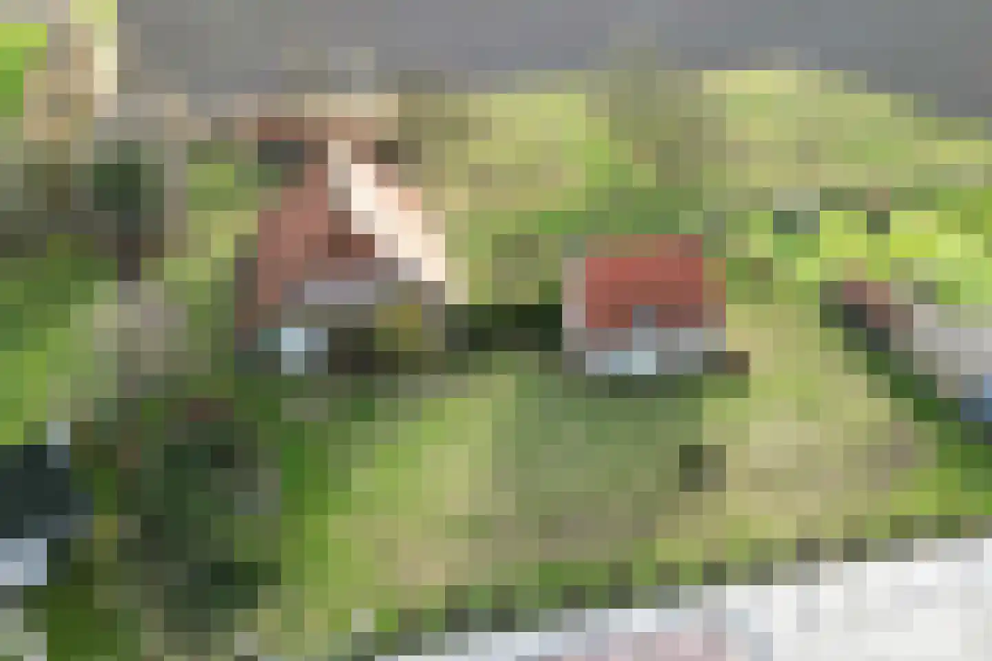 Bisschop Hopmansstraat 36 Noordhoek thumbnail 89