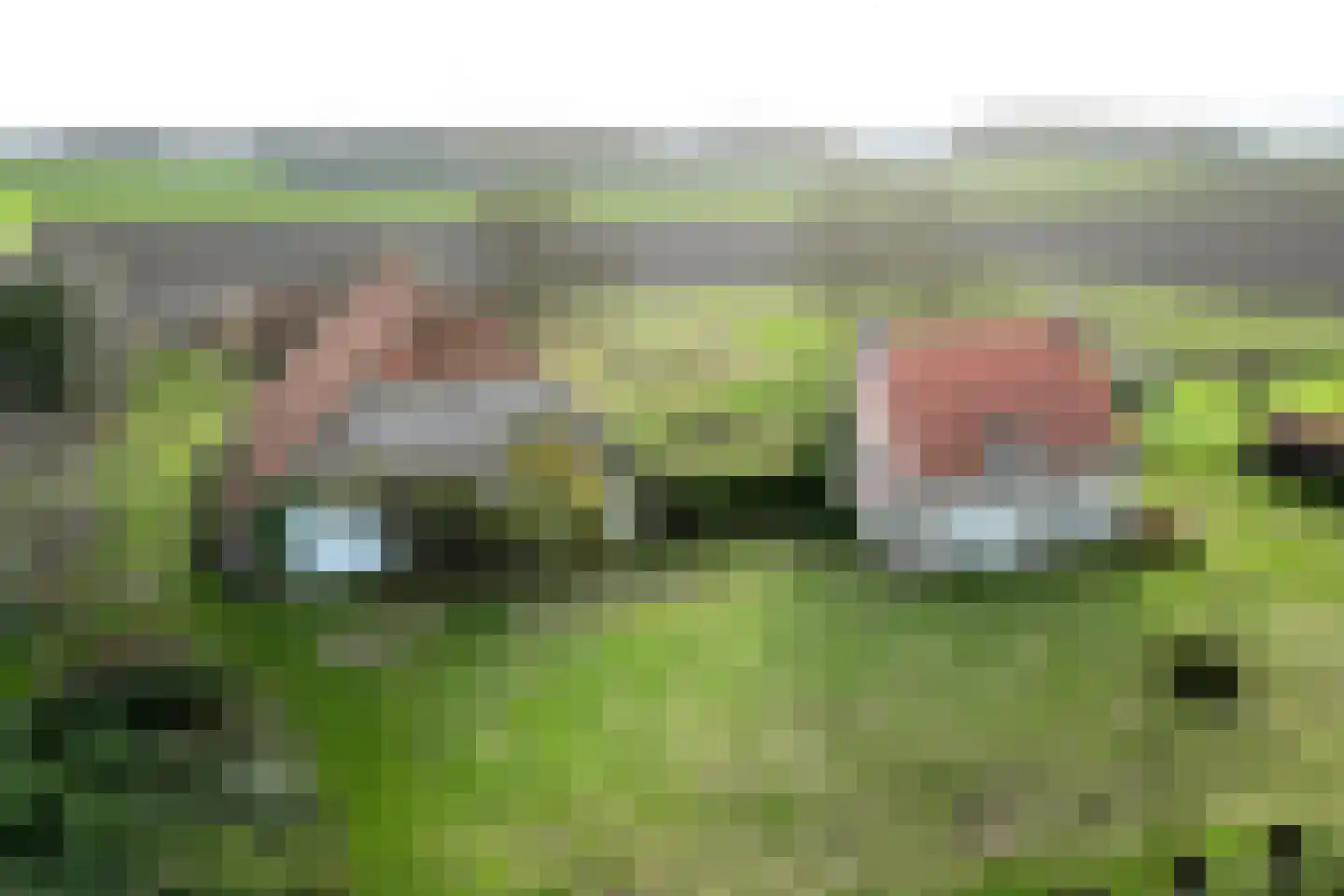 Bisschop Hopmansstraat 36 Noordhoek thumbnail 90