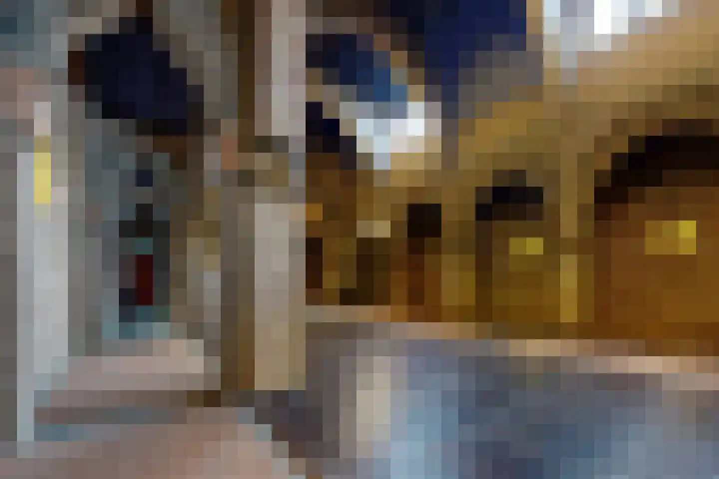 Bisschop Hopmansstraat 5 Noordhoek thumbnail 113