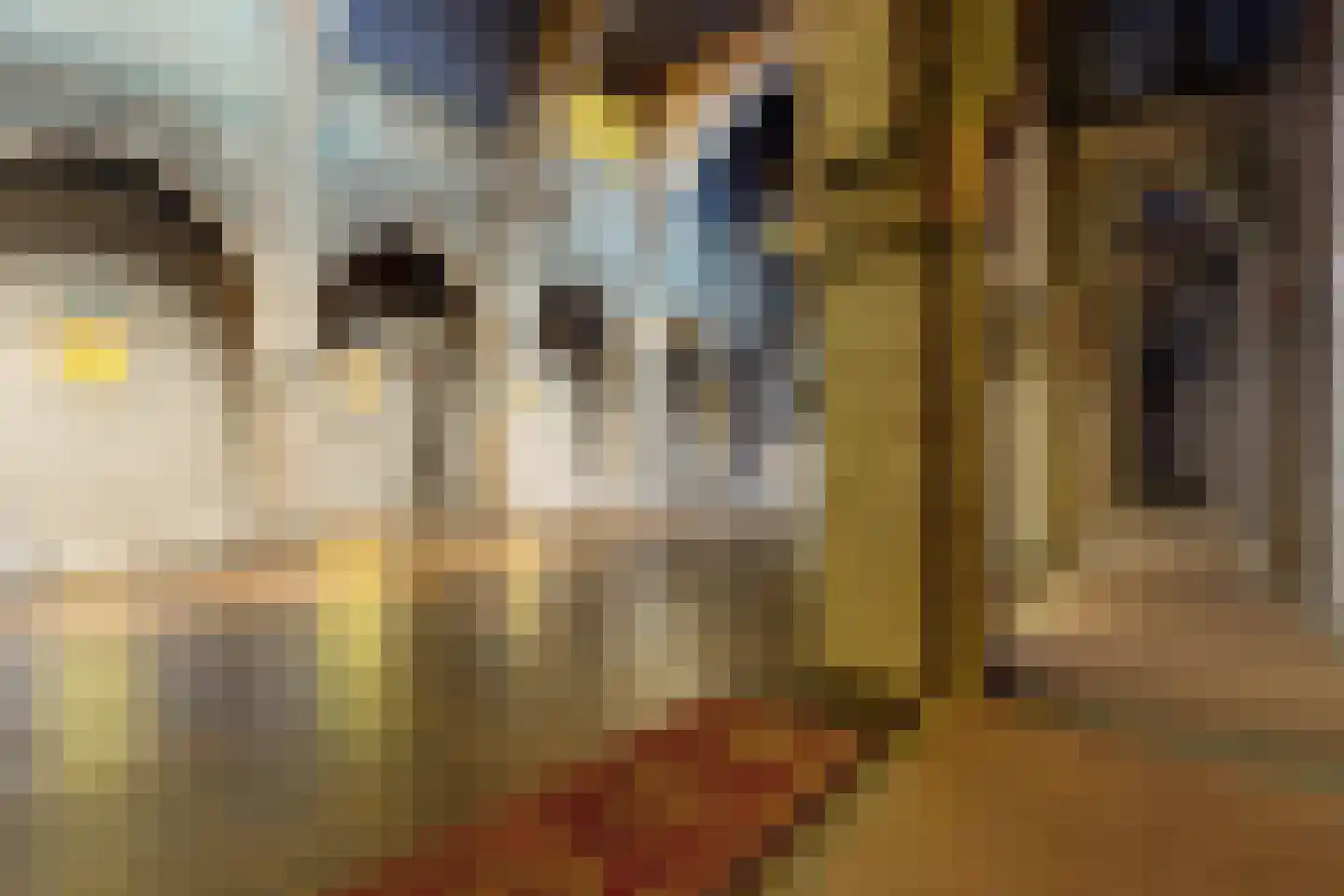 Bisschop Hopmansstraat 5 Noordhoek thumbnail 114