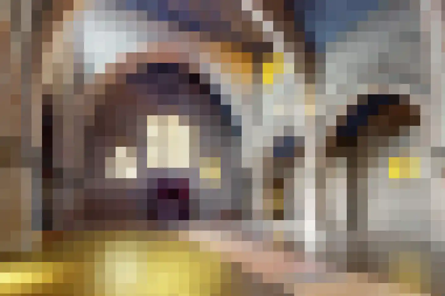Bisschop Hopmansstraat 5 Noordhoek thumbnail 121