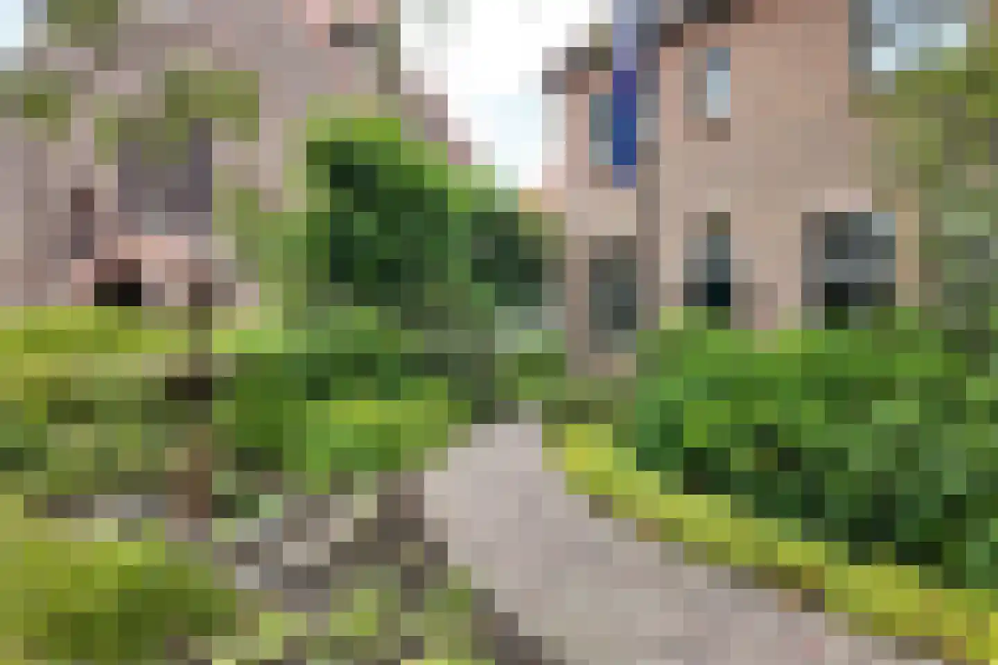 Bisschop Hopmansstraat 5 Noordhoek thumbnail 127