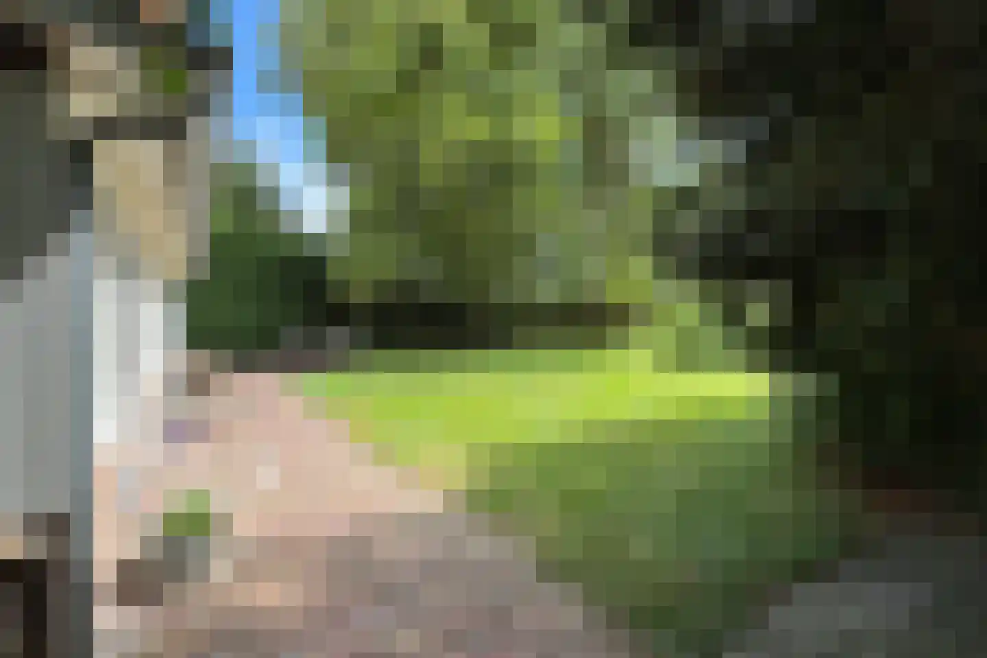 Bisschop Hopmansstraat 5 Noordhoek thumbnail 138