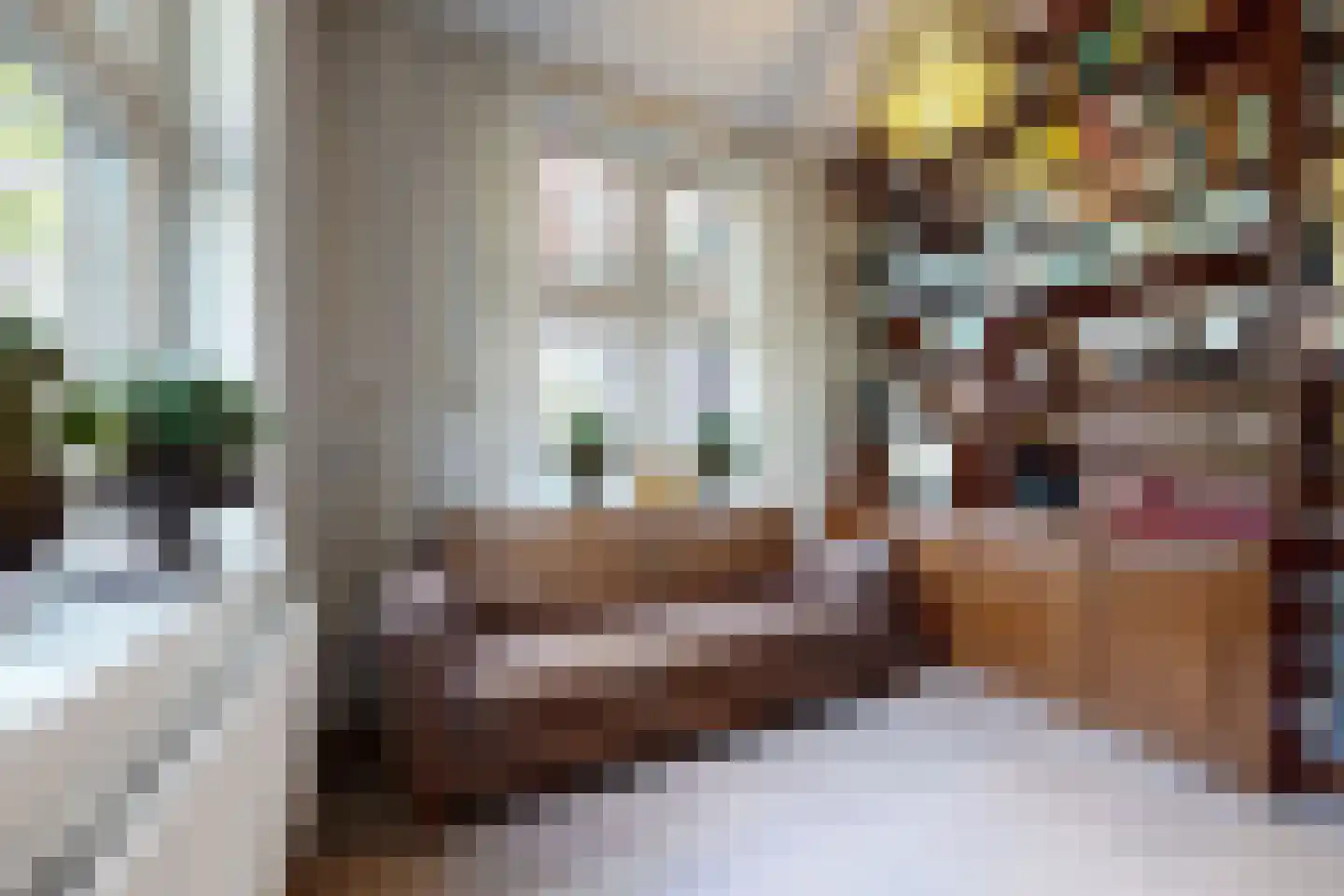 Bisschop Hopmansstraat 5 Noordhoek thumbnail 14