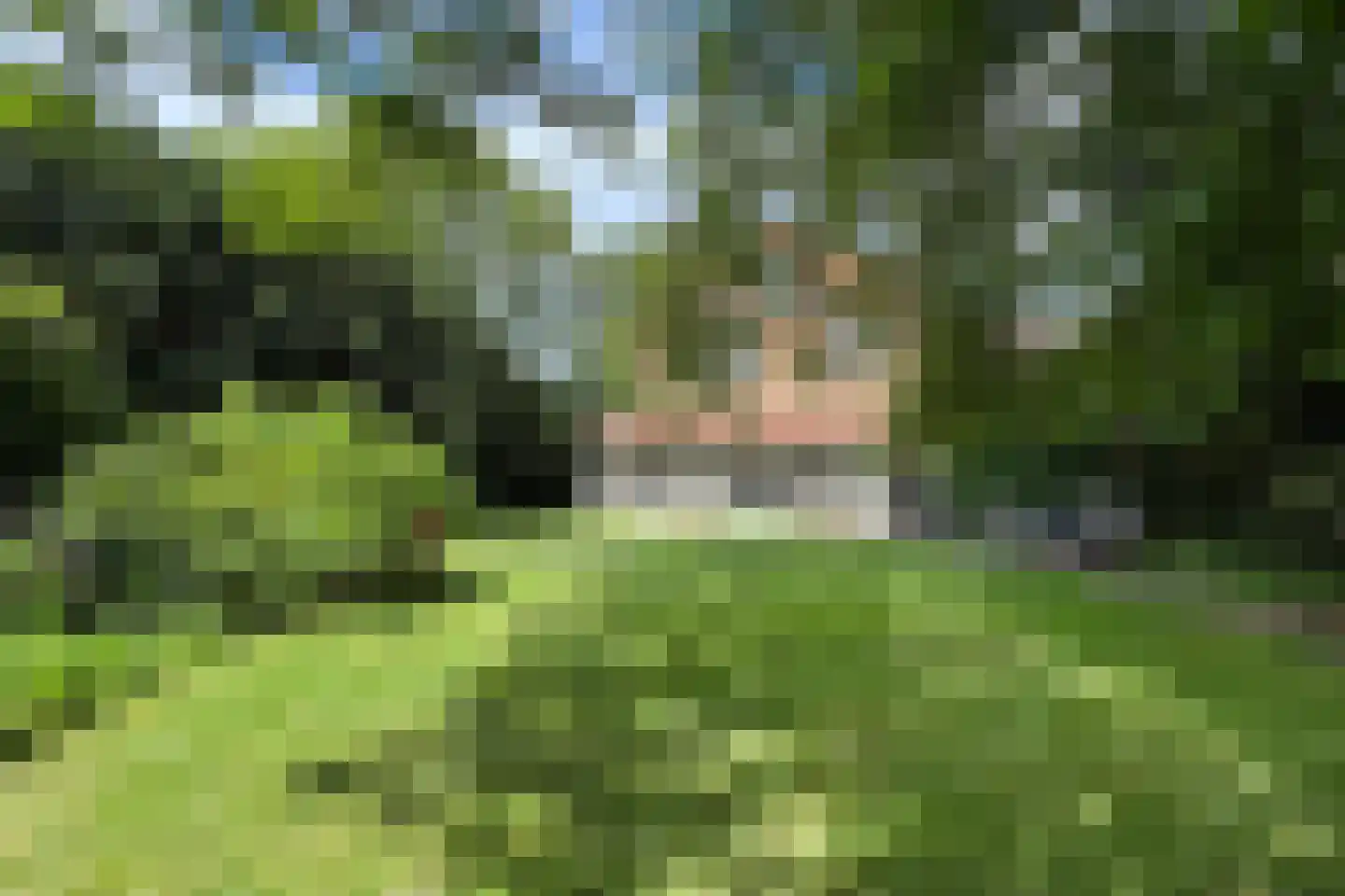 Bisschop Hopmansstraat 5 Noordhoek thumbnail 142
