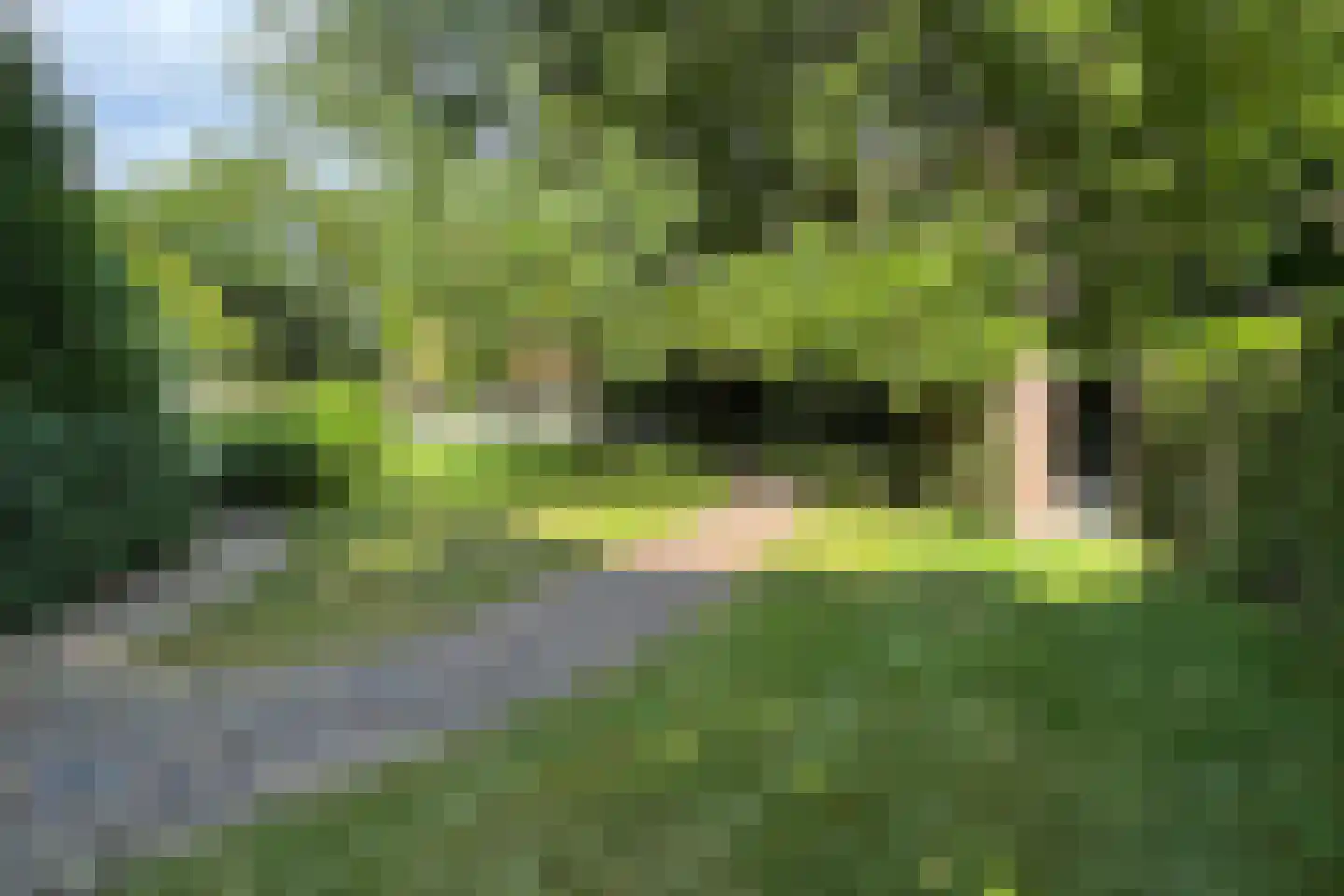Bisschop Hopmansstraat 5 Noordhoek thumbnail 143