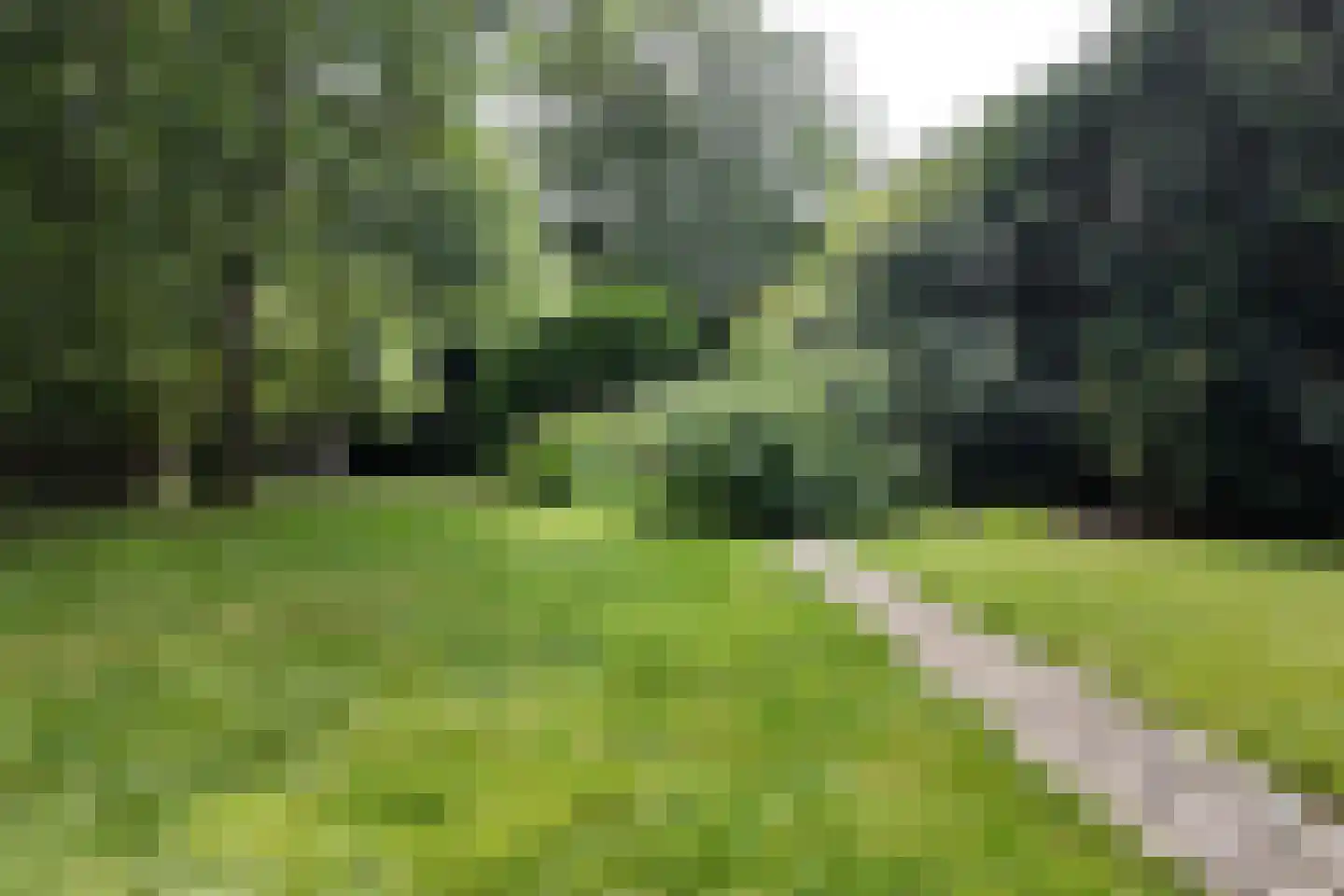 Bisschop Hopmansstraat 5 Noordhoek thumbnail 144