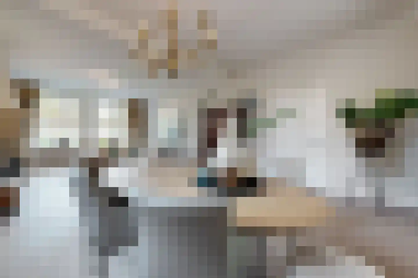 Bisschop Hopmansstraat 5 Noordhoek thumbnail 24