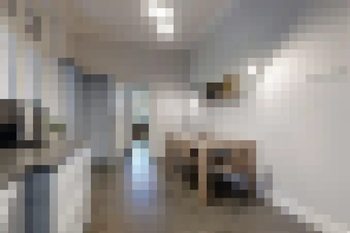 Bisschop Hopmansstraat 5 Noordhoek thumbnail 39