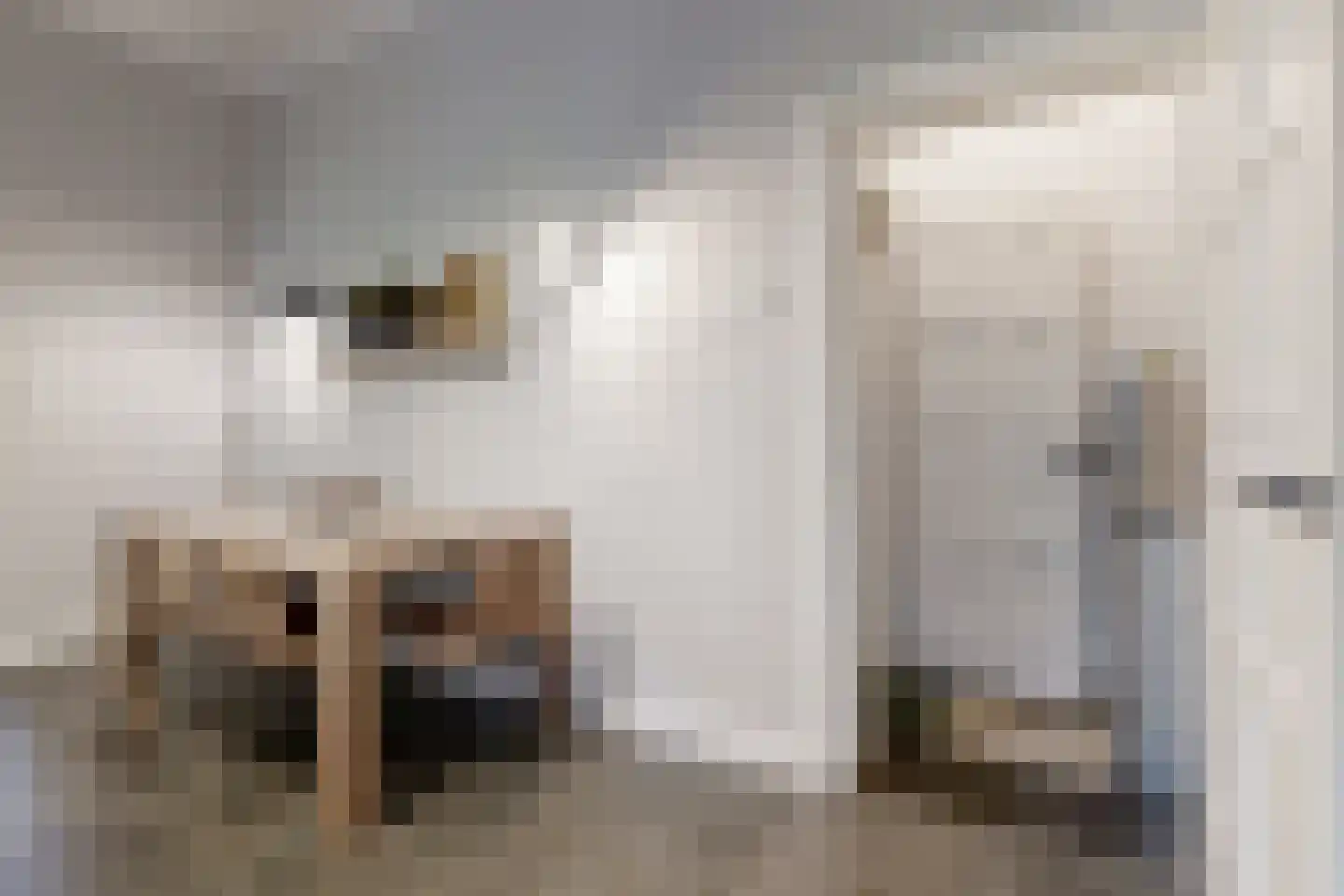 Bisschop Hopmansstraat 5 Noordhoek thumbnail 40