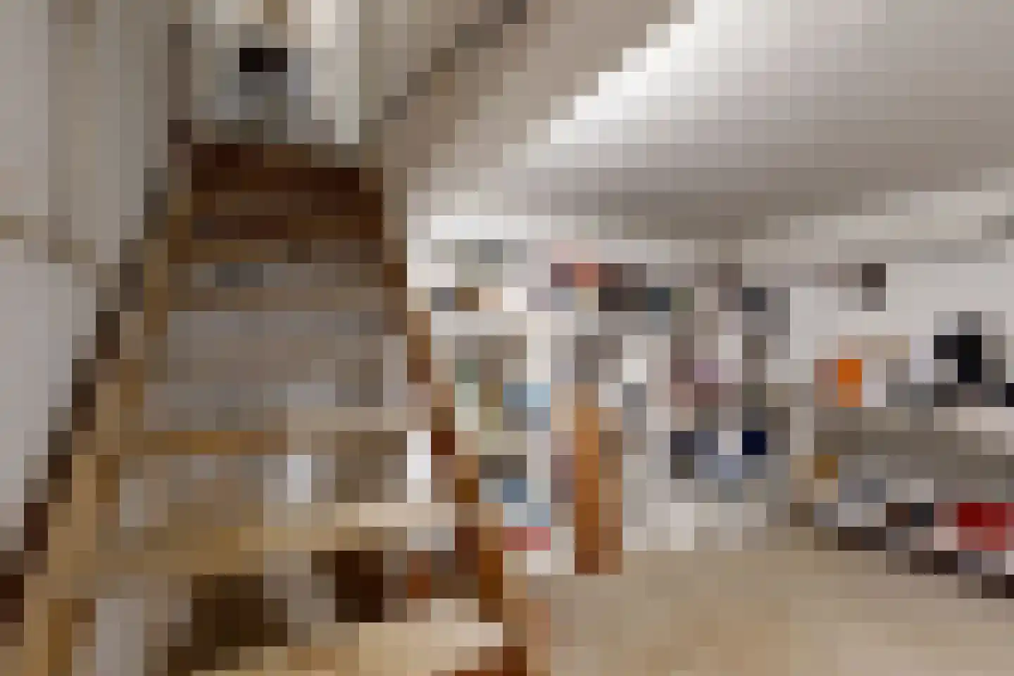 Bisschop Hopmansstraat 5 Noordhoek thumbnail 42