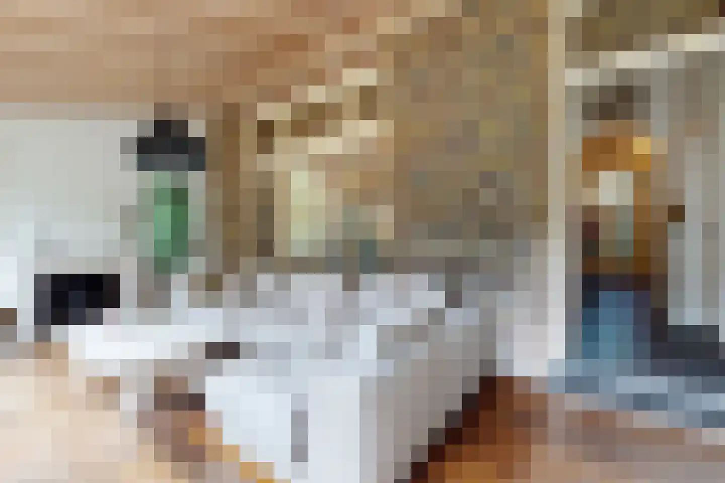 Bisschop Hopmansstraat 5 Noordhoek thumbnail 45