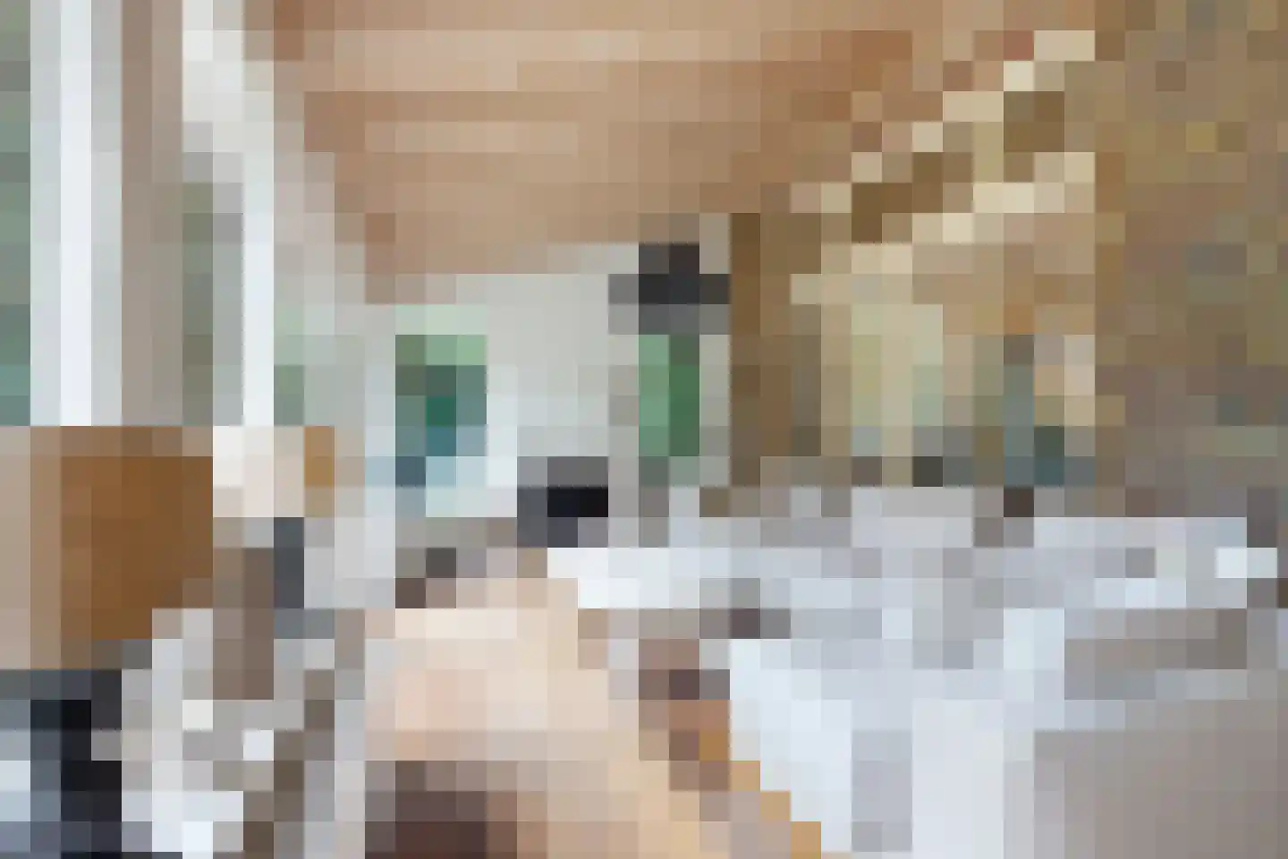 Bisschop Hopmansstraat 5 Noordhoek thumbnail 47