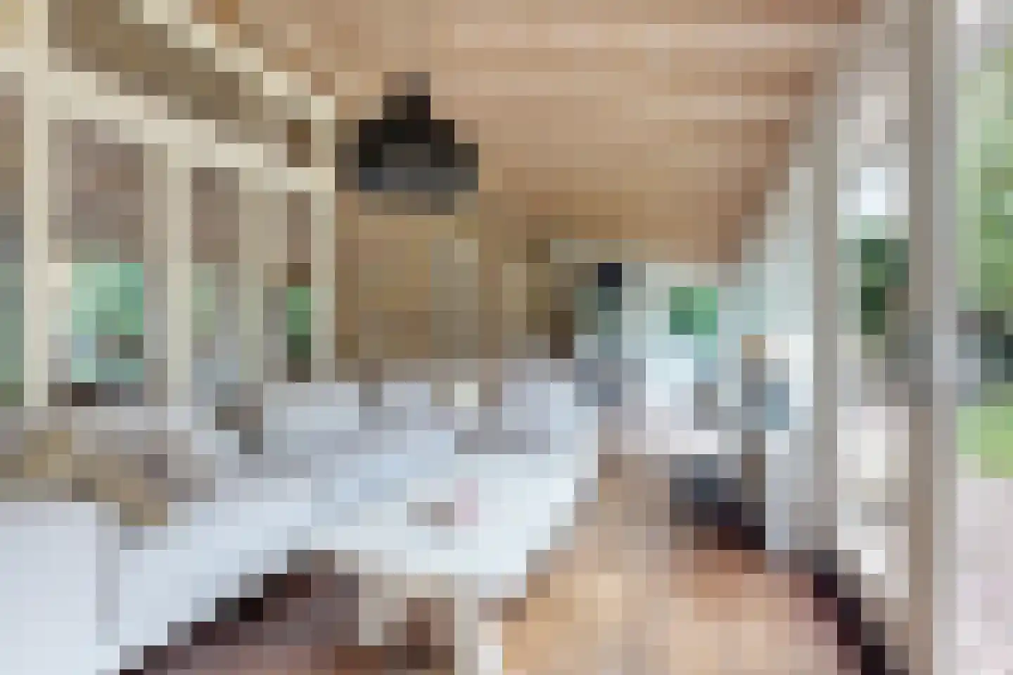 Bisschop Hopmansstraat 5 Noordhoek thumbnail 48