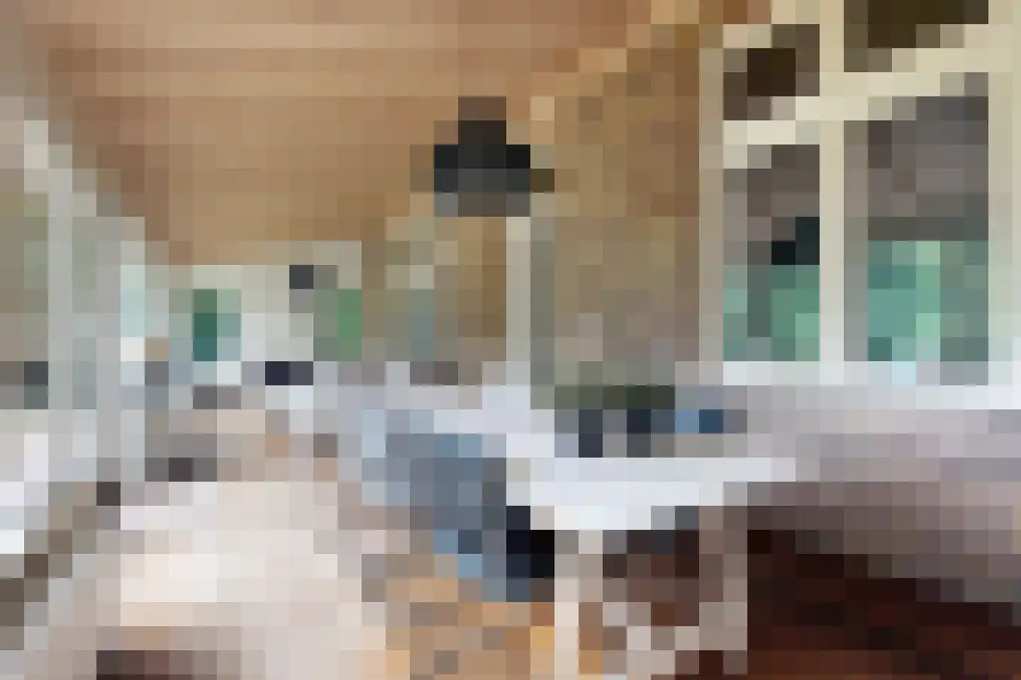 Bisschop Hopmansstraat 5 Noordhoek thumbnail 52
