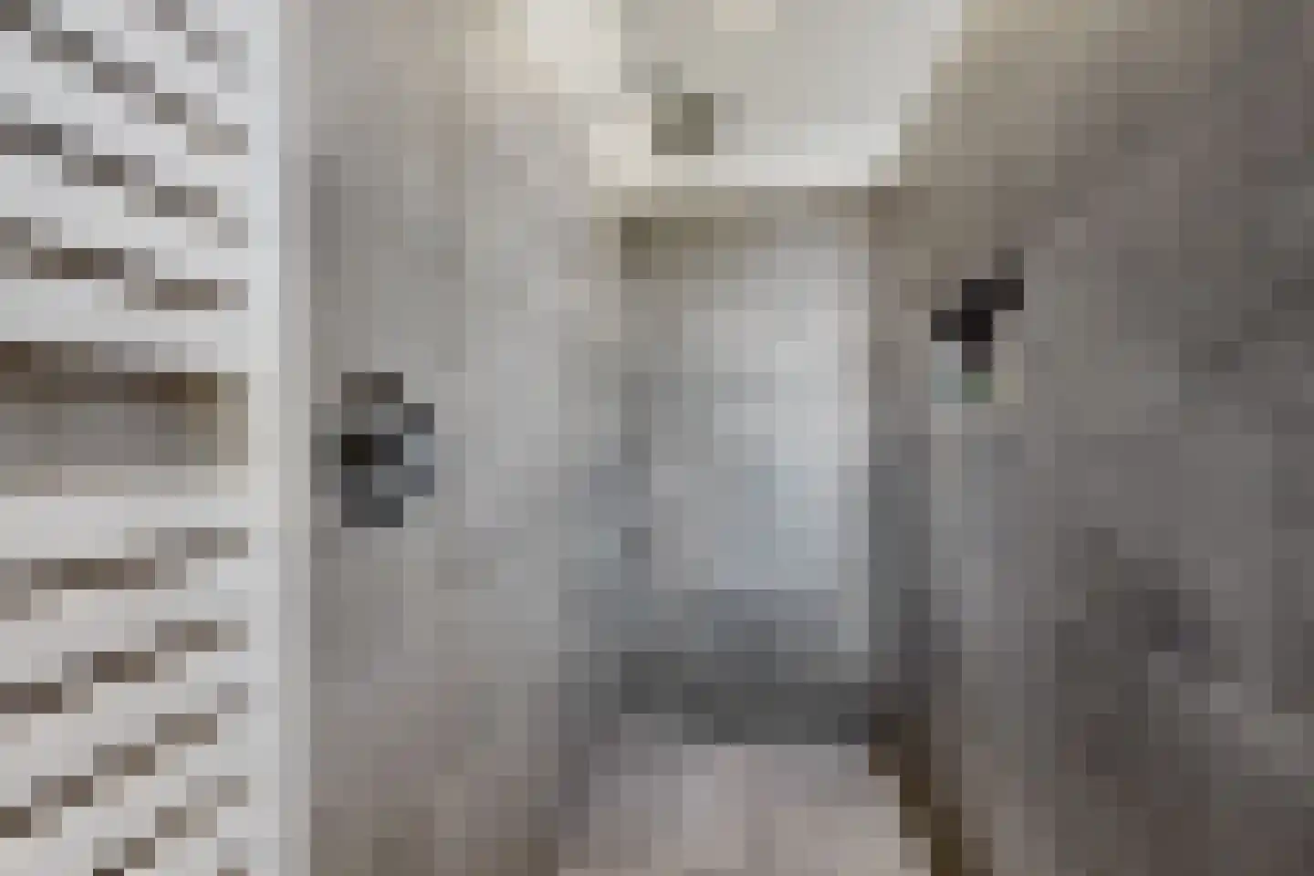 Bisschop Hopmansstraat 5 Noordhoek thumbnail 70