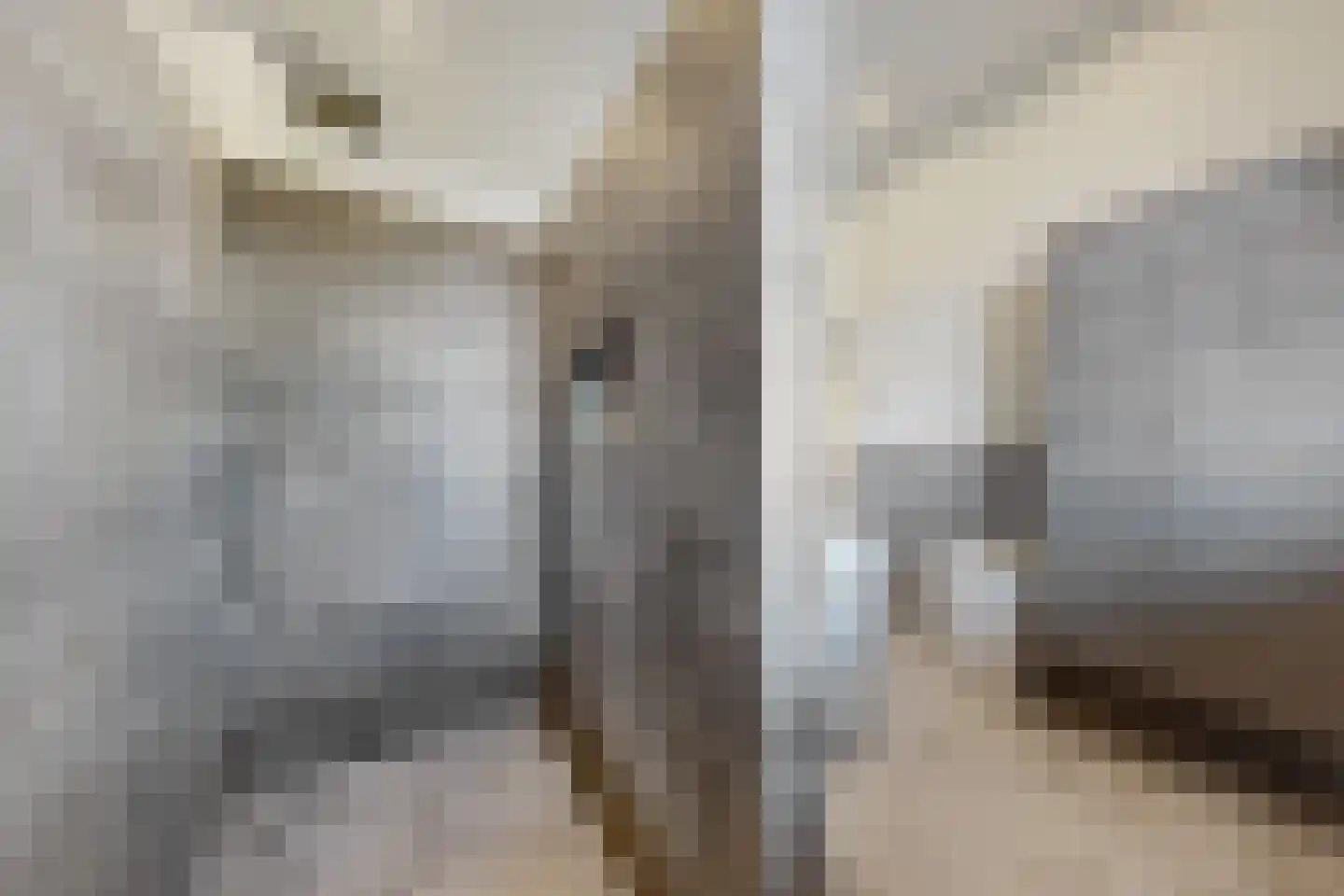 Bisschop Hopmansstraat 5 Noordhoek thumbnail 71